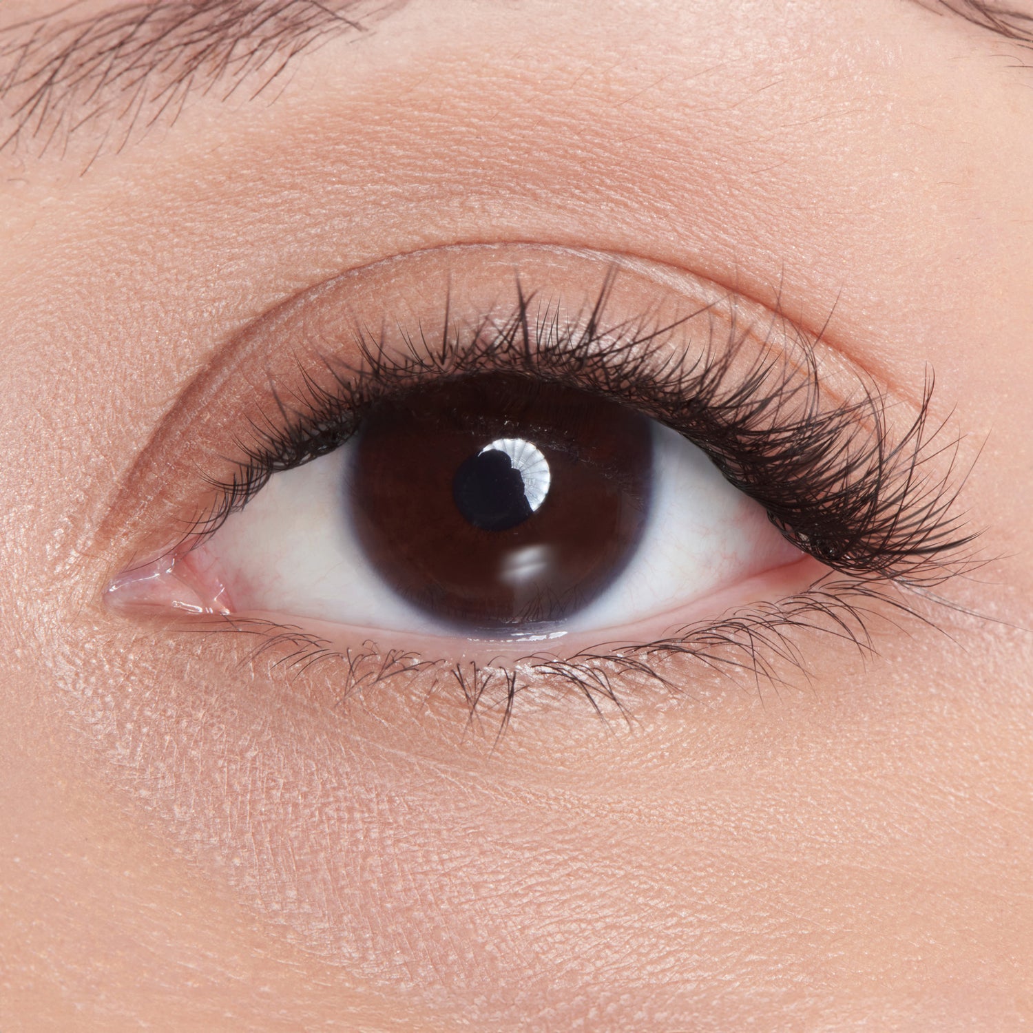 The image features a close-up of a human eye. The eye has a dark brown iris and a well-defined pupil, with a bright reflection visible in the pupil. The eyelashes are long and prominent, framing the eye beautifully. The skin around the eye appears smooth and lightly toned, contributing to a clean and natural look. Overall, the image captures the intricate details of the eye, highlighting its depth and expressiveness.
