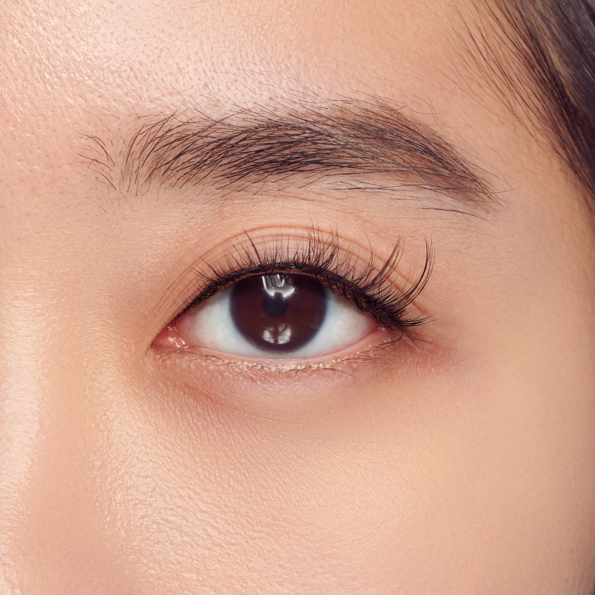 The image is a close-up of a human eye. The eye has a dark brown iris and is framed by long, curled eyelashes. The skin around the eye is smooth, and the eyebrow above the eye is well-groomed with natural, slightly arched hairs. The lighting in the image is soft, highlighting the natural texture of the skin and the details of the eye.