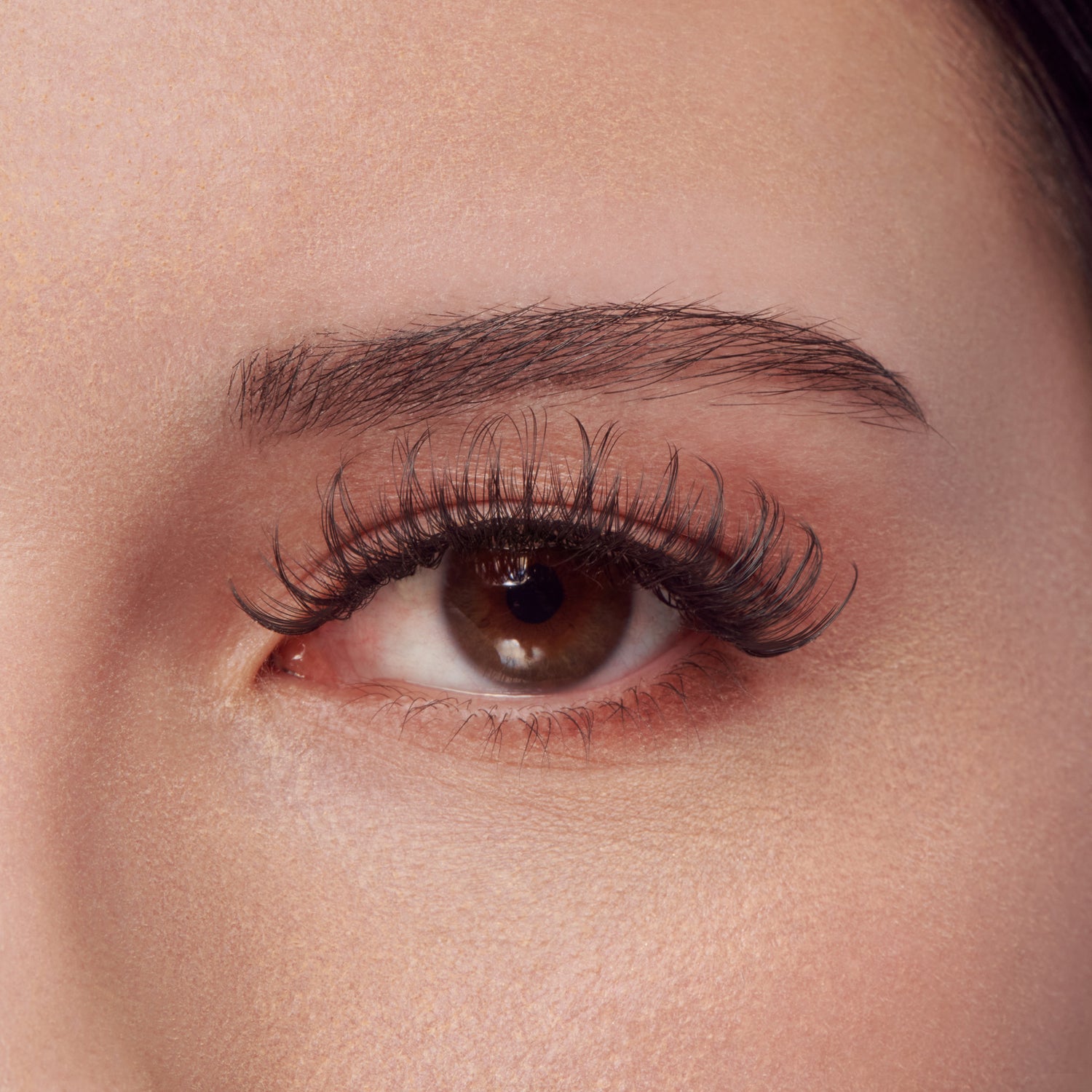 Kiss Lash Couture False Eyelashes The Muses Collection - Aura | 1 Pair, Strip Lashes, 8mm-16mm