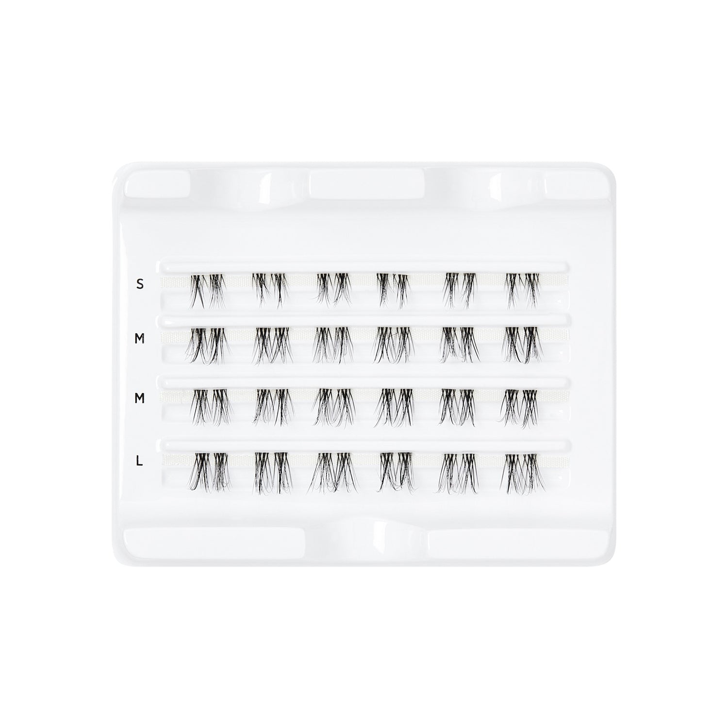 Tray of FALSCARA clear band false eyelashes arranged in four rows with varying sizes labeled S, M, and L on a white background.