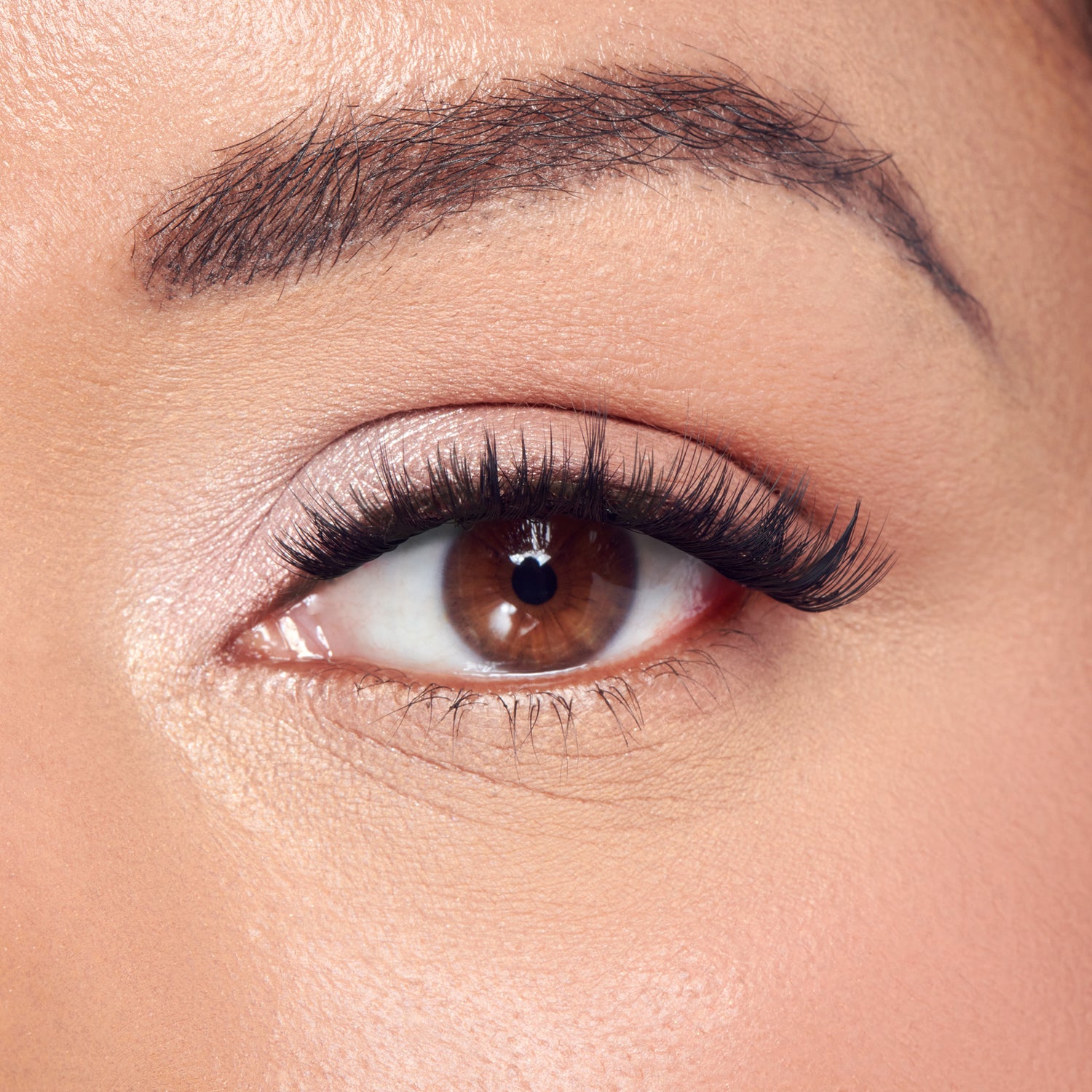Close-up of eye with dark eyebrows, black mascara lashes, and brown iris on peachy skin.