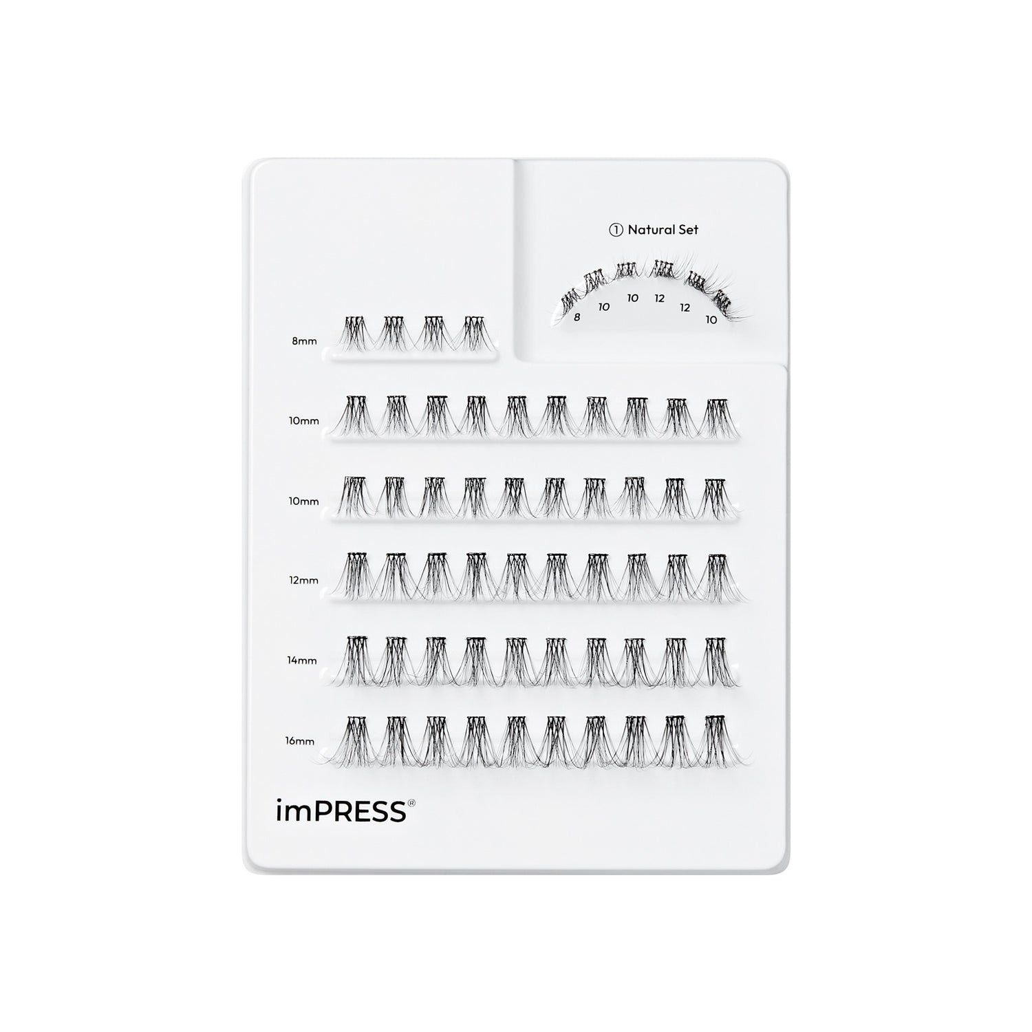 imPRESS Natural Set lash samples in multiple lengths from 8mm to 16mm