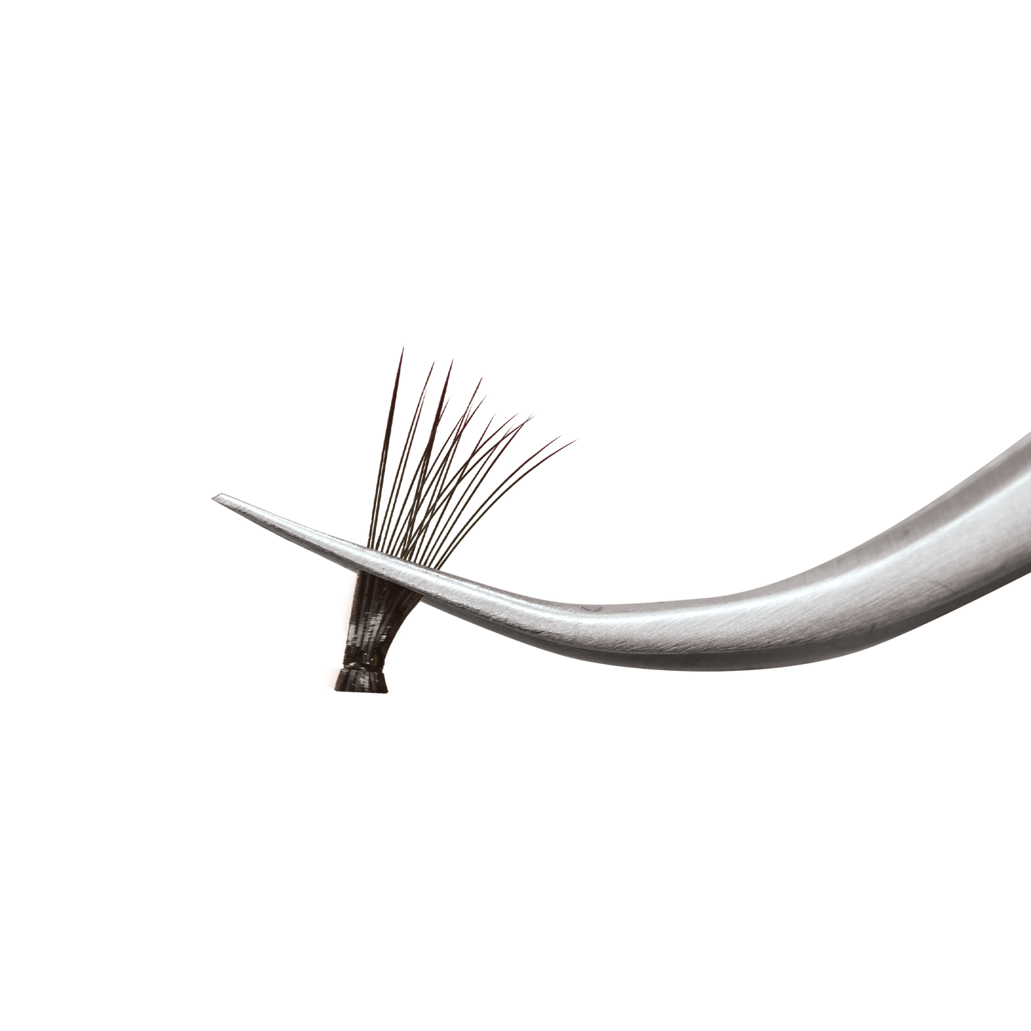 Curved blade with a feather on a black background