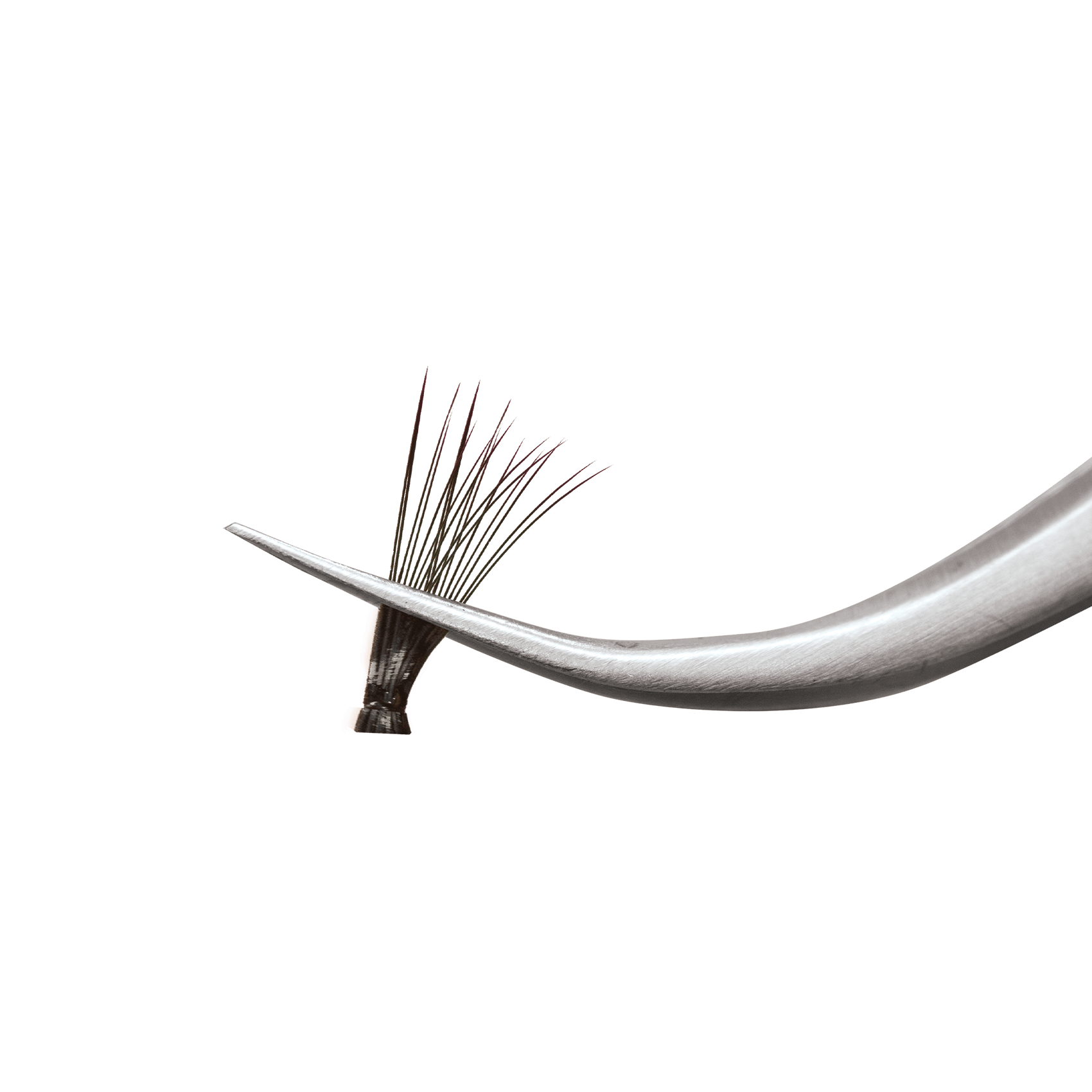 Curved blade with a feather on a black background