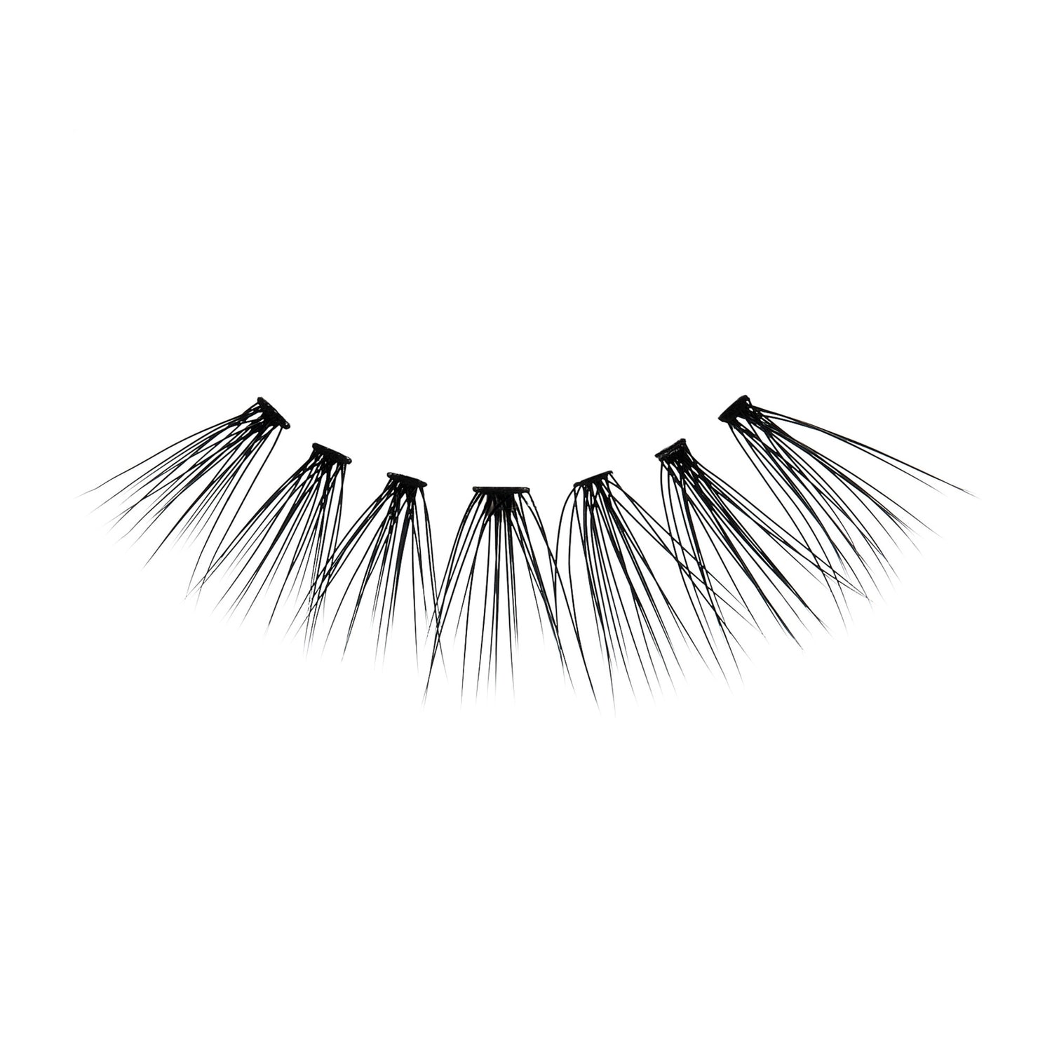 Black individual lash clusters fanned out in a curved line on a white background, designed for DIY faux lash extensions.