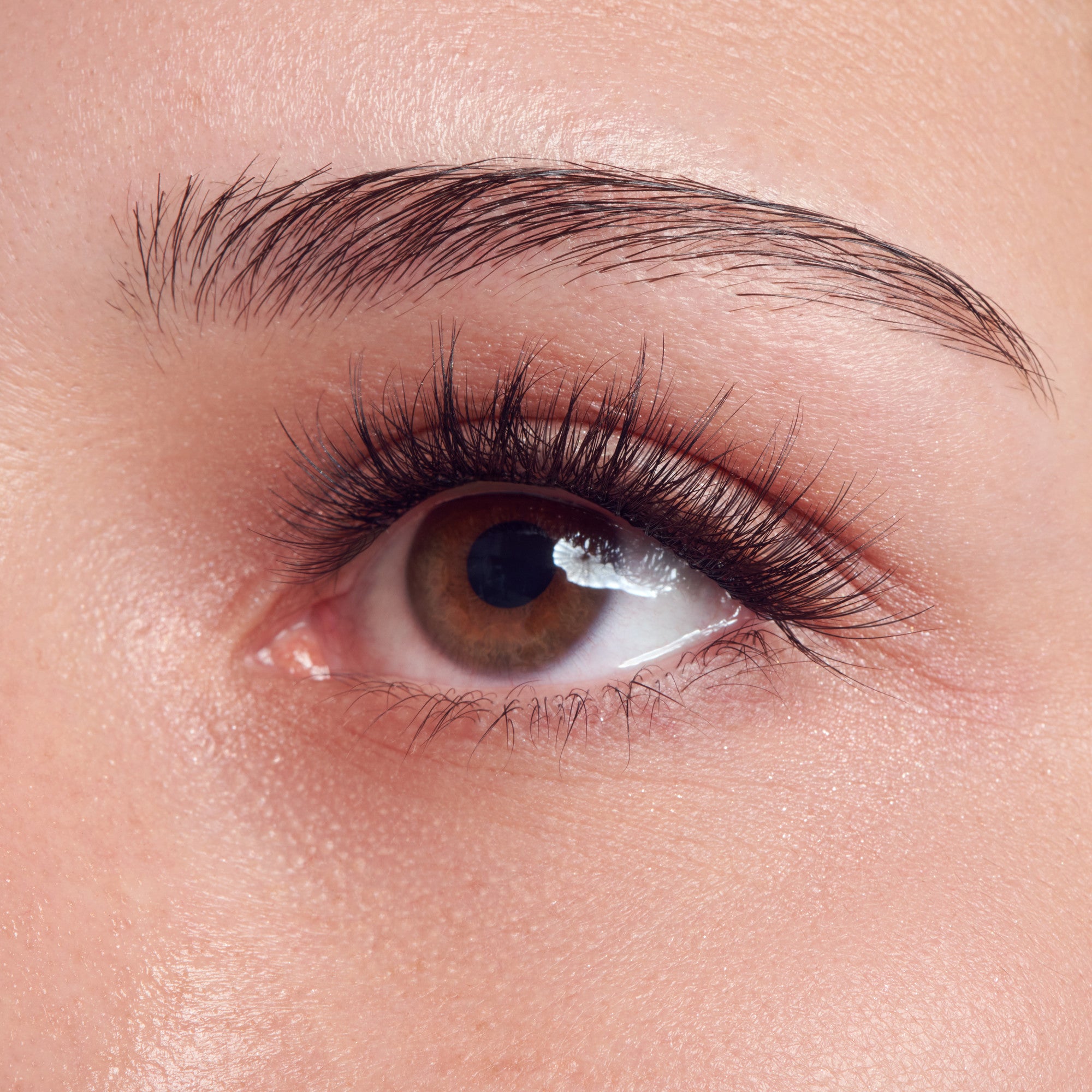 Close-up of an eye with brown iris, black mascara on upper and lower lashes, and defined eyebrow.