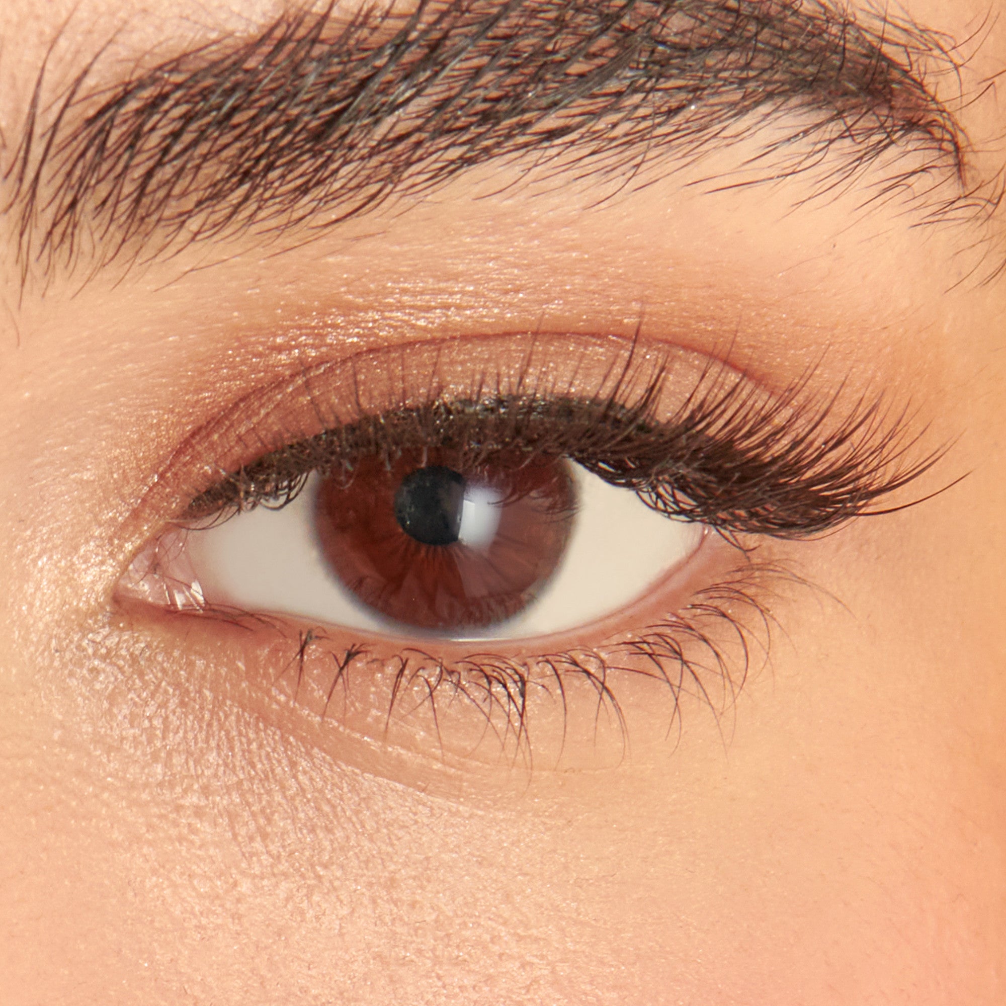 Close-up of a brown eye with long, voluminous KISS Lash Couture Faux Mink false eyelashes applied, showcasing a natural yet dramatic look.