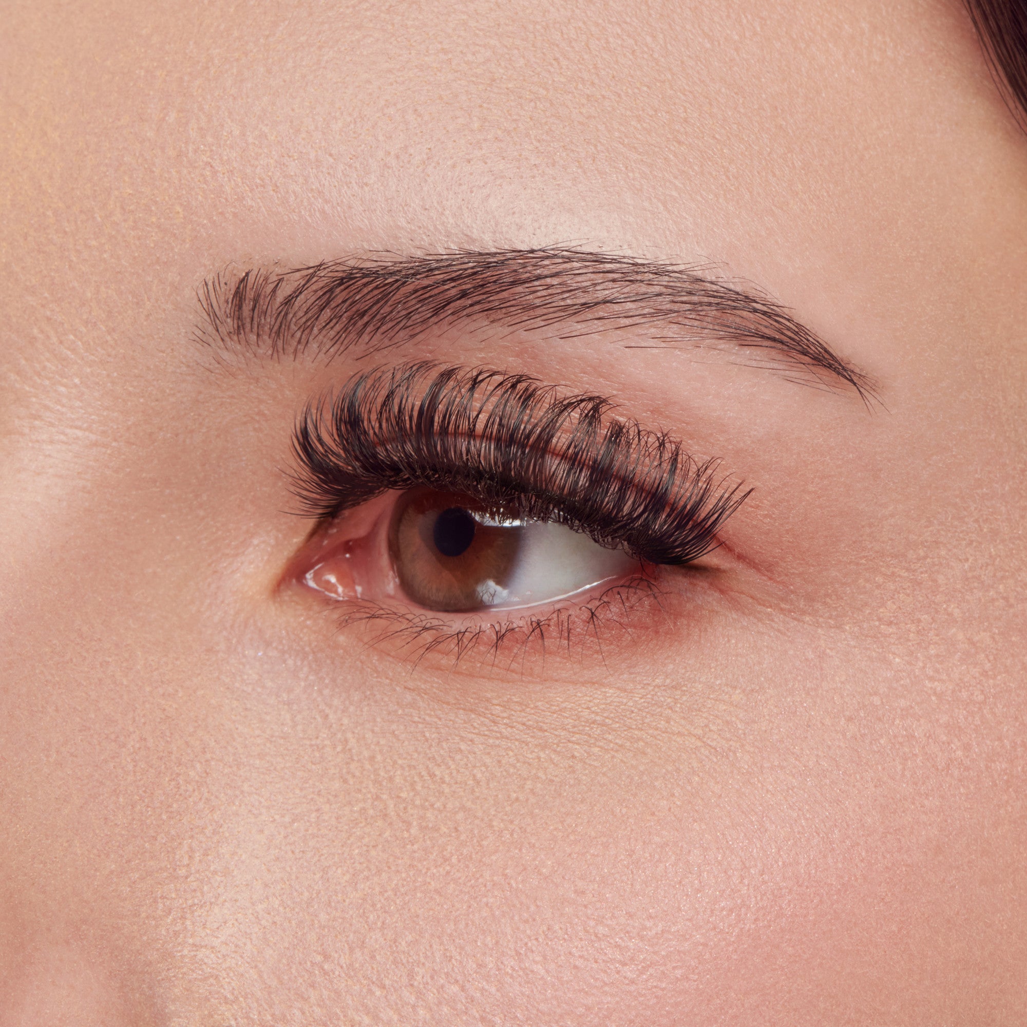 Kiss Lash Couture False Eyelashes The Muses Collection Multipack - Grandeur | 4 Pairs, Strip Lashes, 14mm
