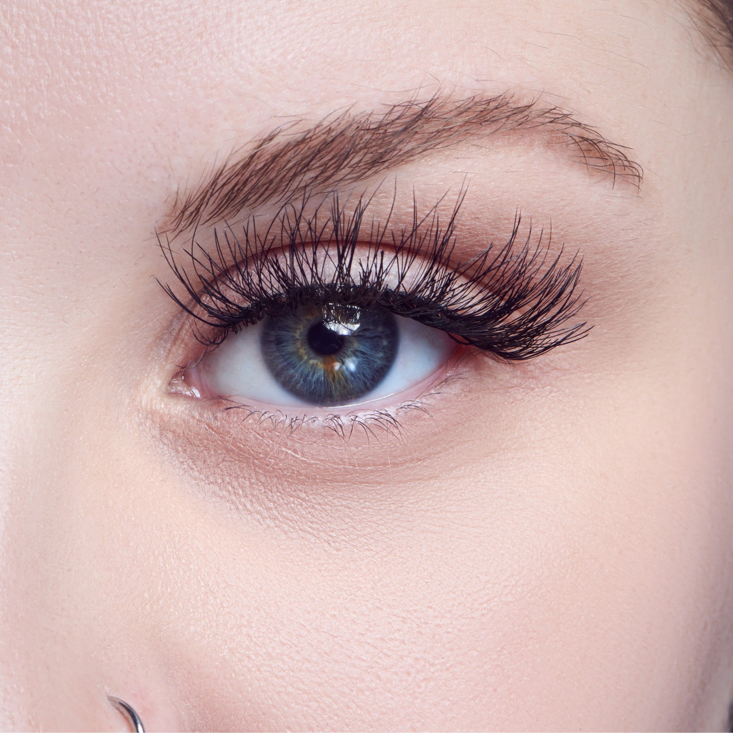 Close-up of a blue eye with long, natural-looking KISS Sister Nature Dawn false eyelashes applied, showing detailed lash length and volume.