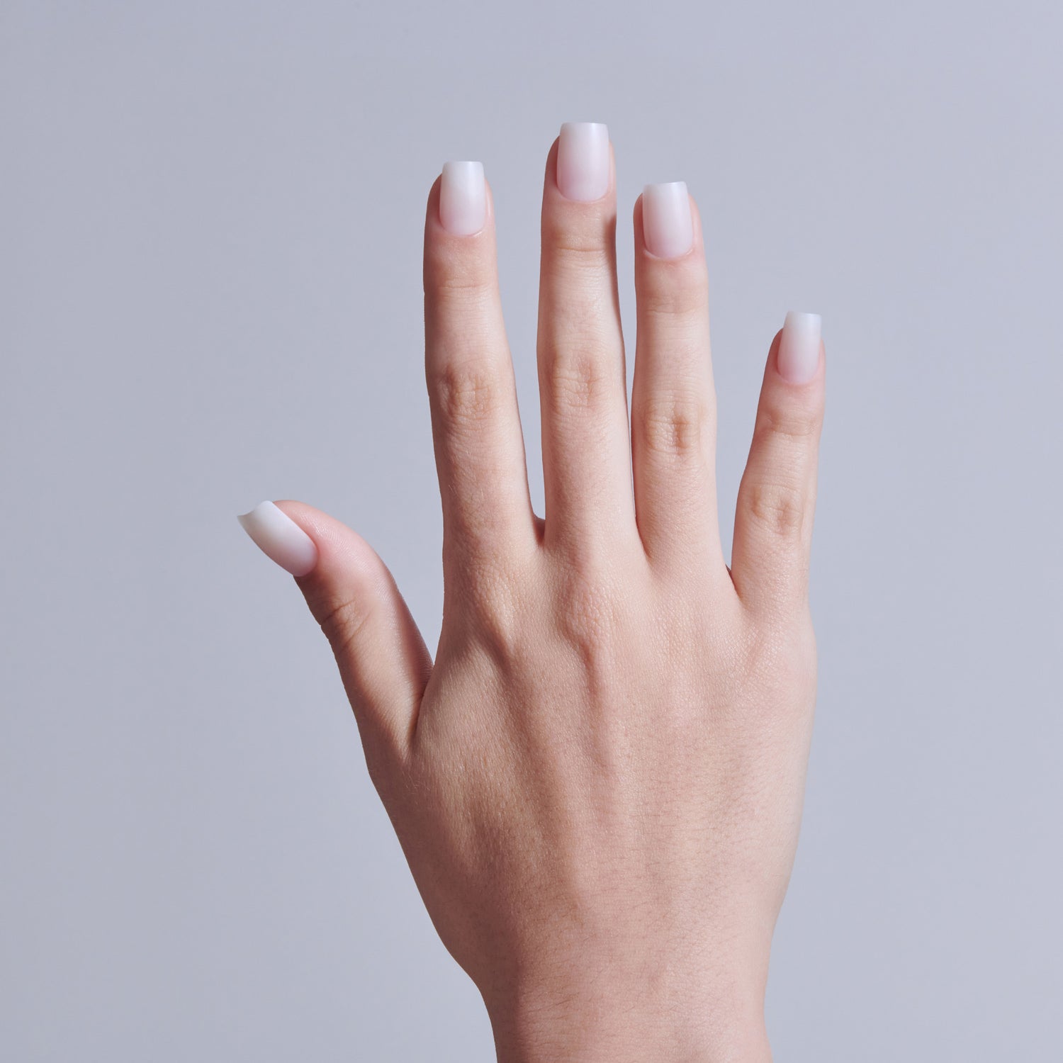 Hand displaying natural ombre nail manicure with white tips against gray background.
