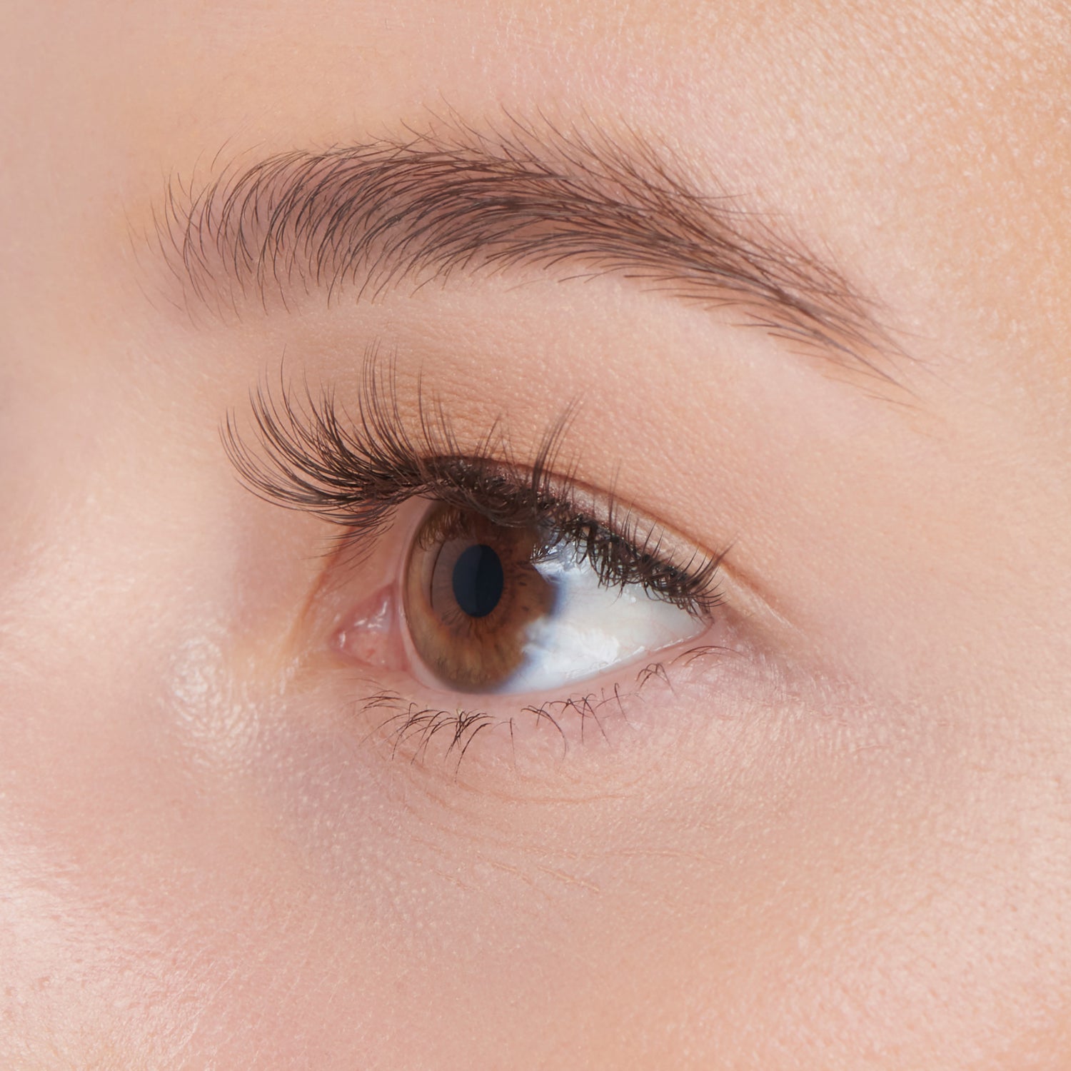 The image features a close-up of a human eye, showcasing a rich brown iris and long, delicate eyelashes. The skin around the eye appears smooth and well-groomed, with a natural complexion. The eyebrow is neatly shaped and complements the eye&