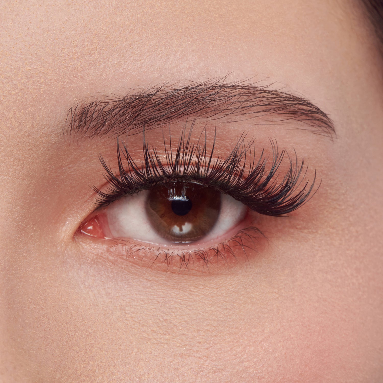 Close-up of a brown eye with long, dark eyelashes and well-groomed eyebrow.