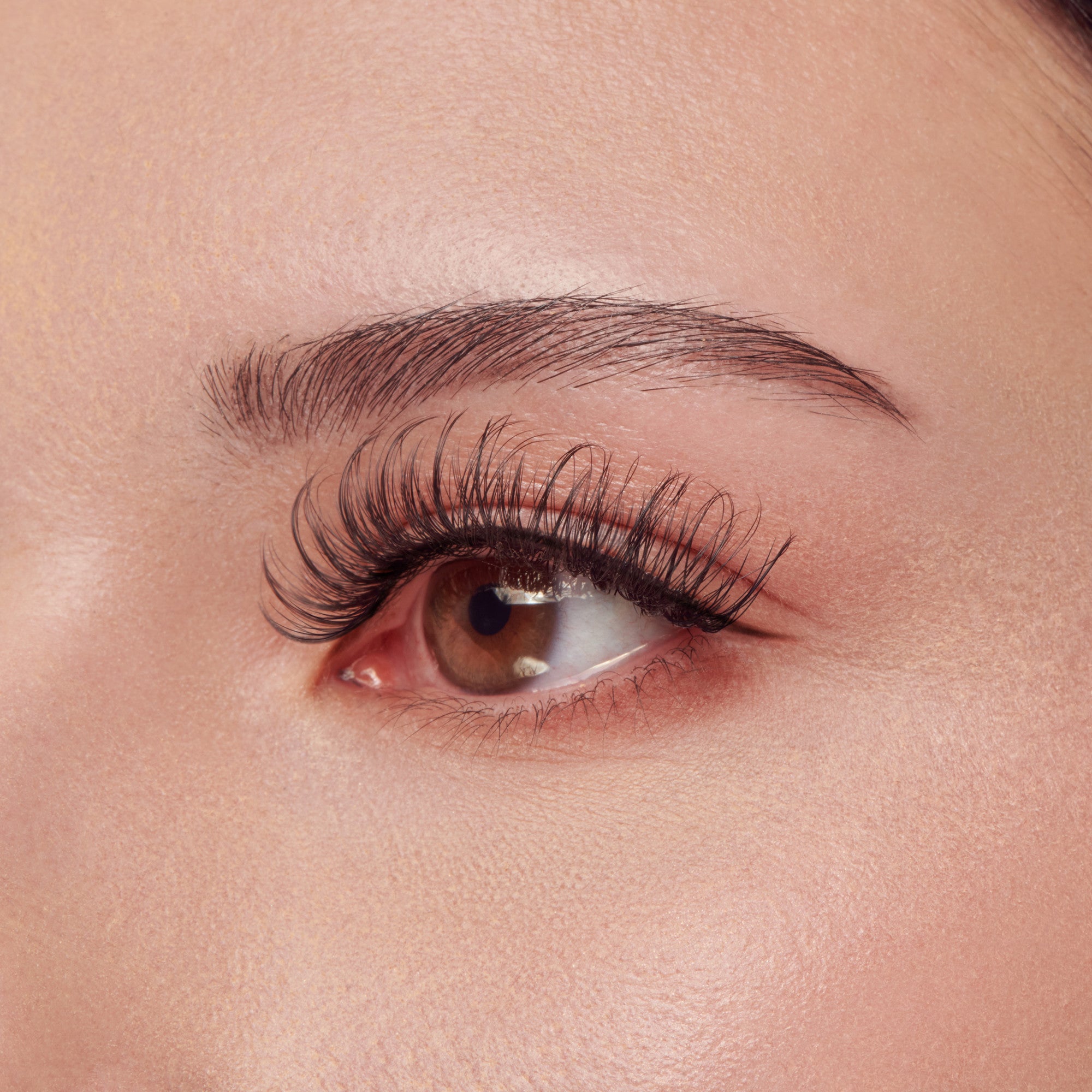 Kiss Lash Couture False Eyelashes The Muses Collection - Aura | 1 Pair, Strip Lashes, 8mm-16mm