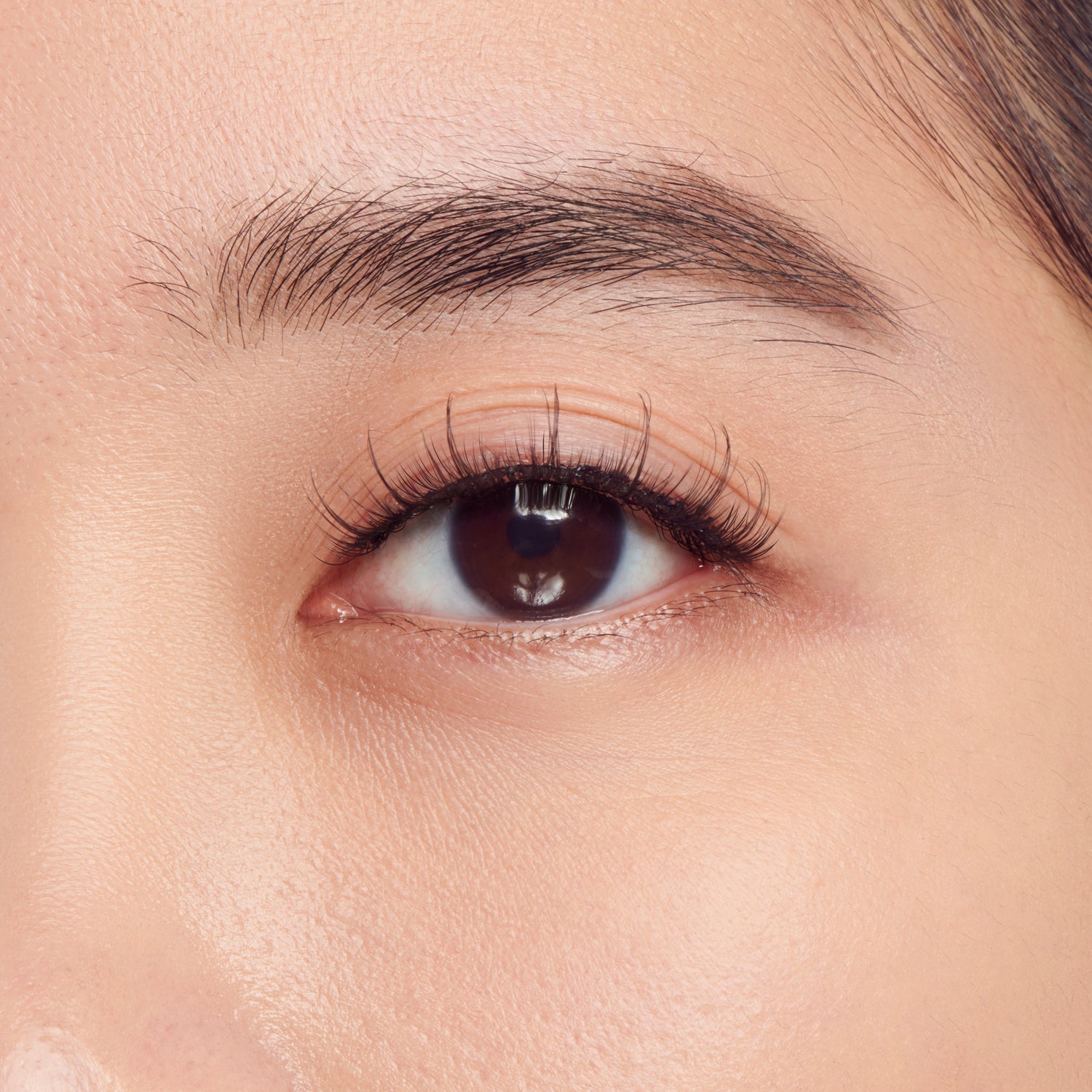 The image is a close-up of a human eye. The eye has a dark brown iris and is framed by well-defined eyebrows and long eyelashes. The skin around the eye appears smooth and well-maintained. The lighting in the image highlights the natural texture of the skin and the details of the eye.