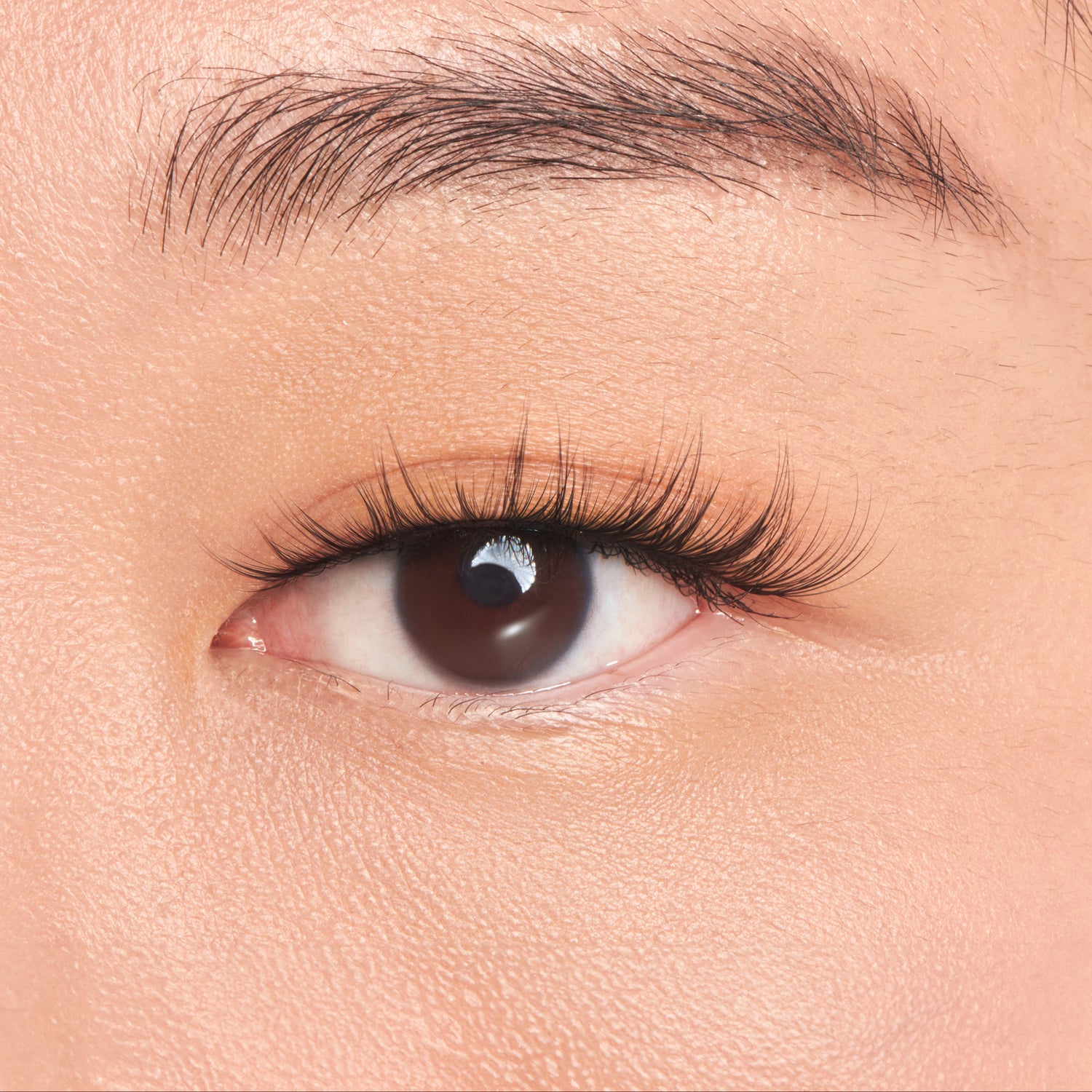 The image features a close-up of a human eye, showcasing a smooth, light skin tone around the eye area. The eye itself is brown, with long, curled eyelashes that enhance its appearance. The eyebrow above is well-groomed, and the overall look conveys a sense of beauty and detail. The focus is on the eye, highlighting its features and the natural texture of the skin.