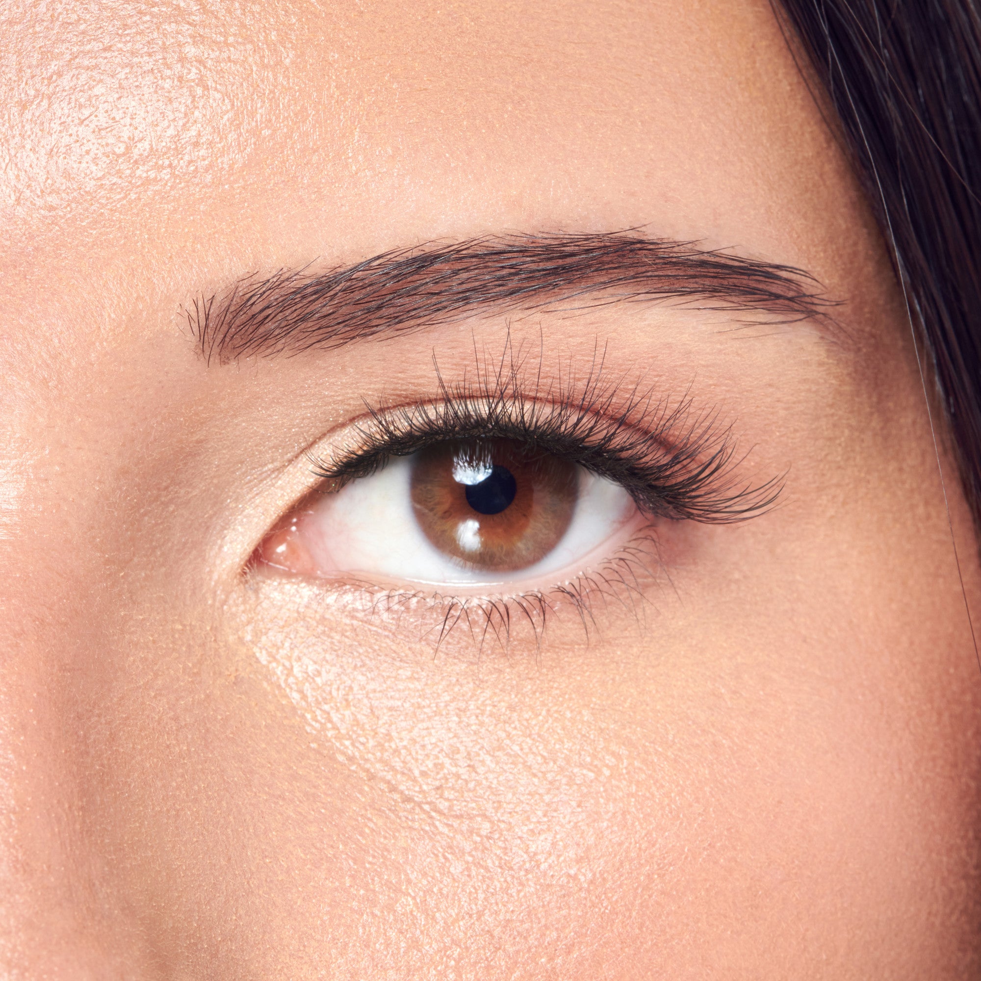 Close-up of brown eye with defined brow and black mascara on light skin.