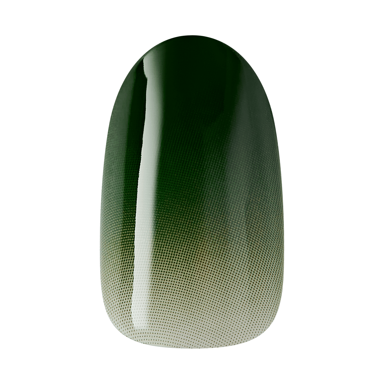 The image features a nail art design on a nail tip. The design showcases a gradient effect, transitioning from a deep green at the top to a lighter shade towards the bottom. The surface has a smooth, glossy finish, and the gradient is created using a dotted pattern, adding texture and depth to the overall look. The design is elegant and modern, suitable for various occasions.