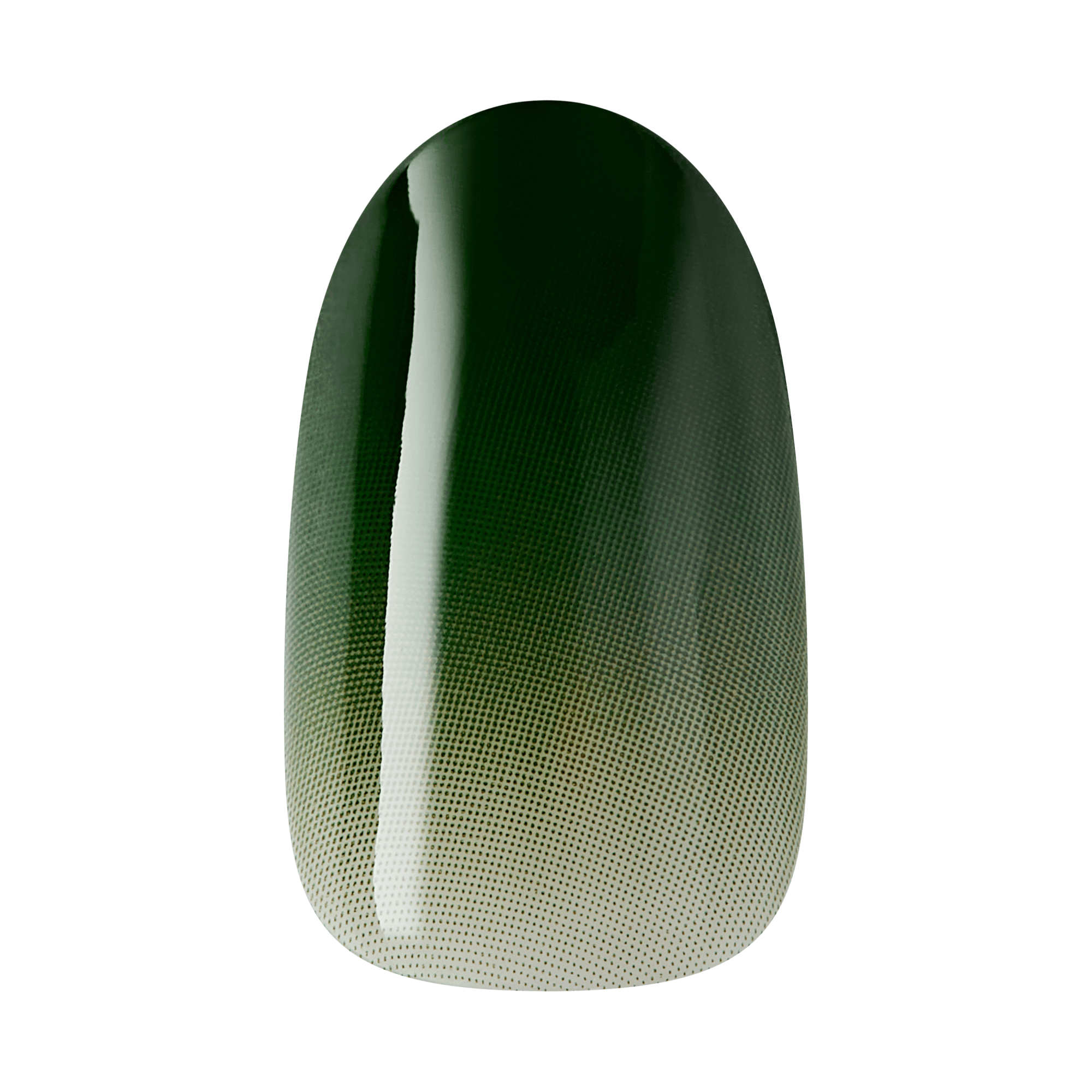 The image features a nail art design on a nail tip. The design showcases a gradient effect, transitioning from a deep green at the top to a lighter shade towards the bottom. The surface has a smooth, glossy finish, and the gradient is created using a dotted pattern, adding texture and depth to the overall look. The design is elegant and modern, suitable for various occasions.