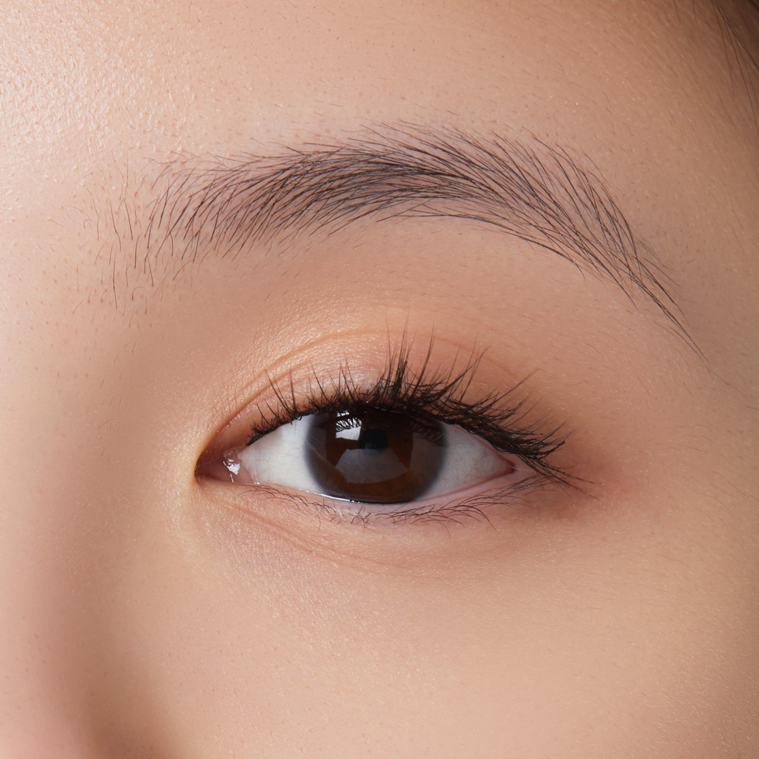 Close-up view of a brown eye with long, natural-looking lengthened lashes and a well-groomed eyebrow, showcasing the effect of FALSCARA Wisps Special Edition Lengthening Wisps.