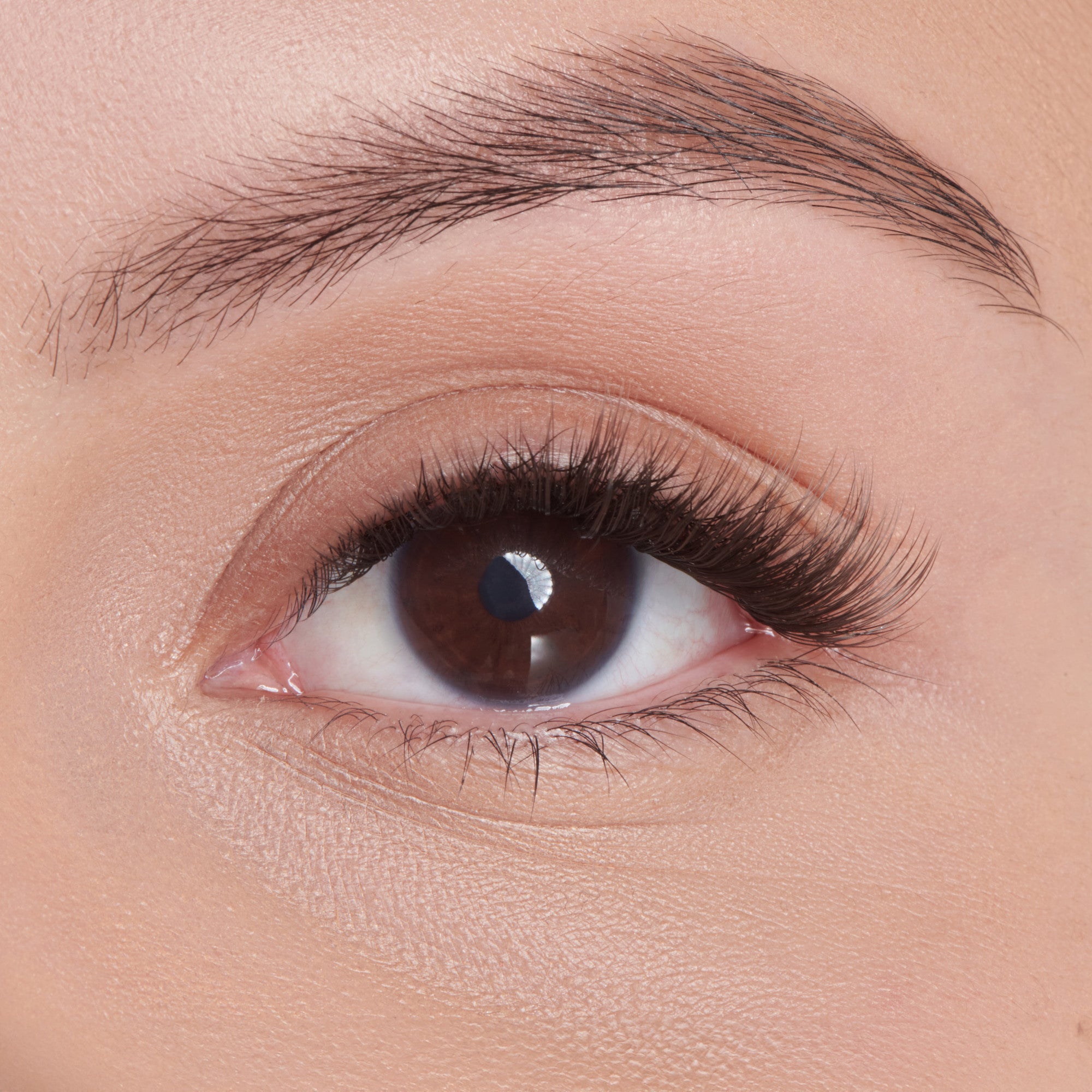 Close-up of a brown eye with long, natural-looking individual eyelash extensions applied on the upper lash line, showcasing length and volume.