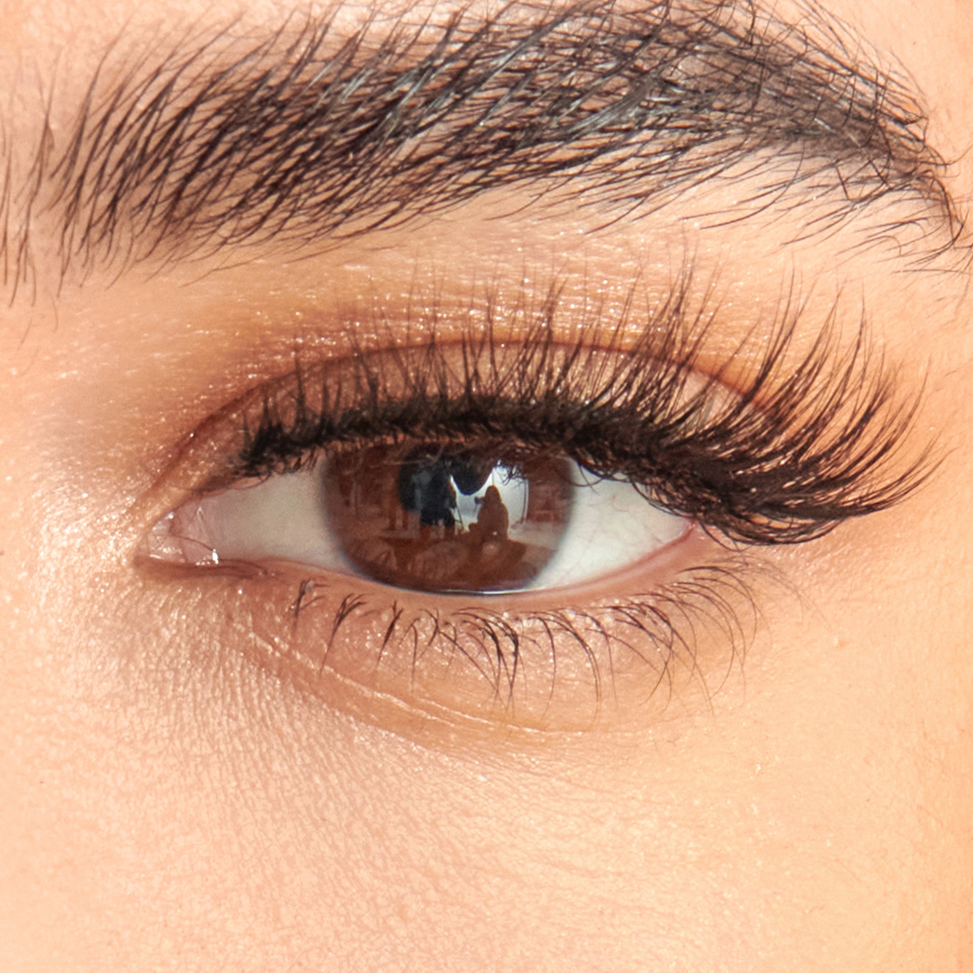 Close-up of a brown eye with long, full, and curled false eyelashes from the KISS Lash Couture The Muses Collection - Legacy, shown on a natural skin tone.