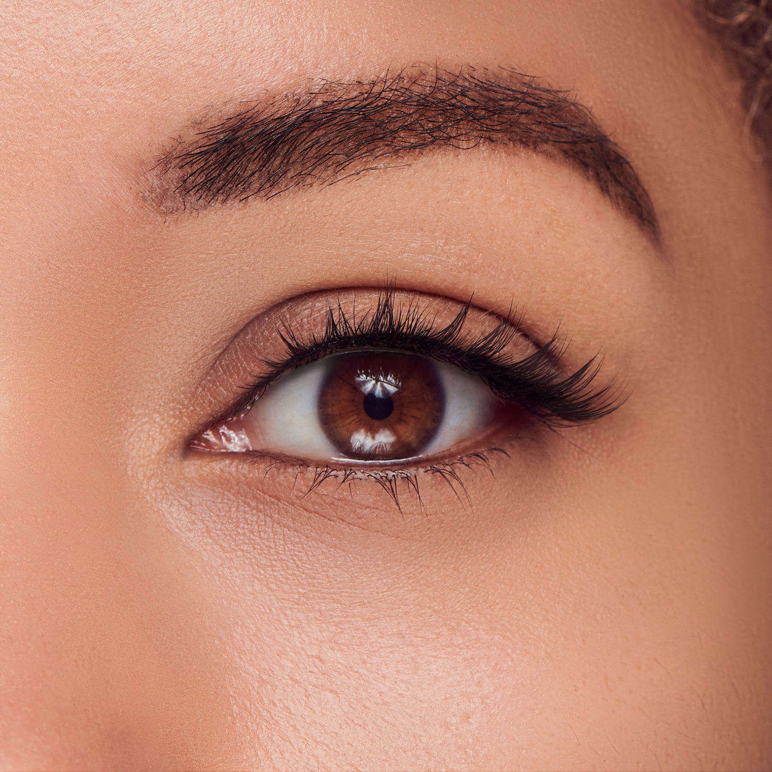 The image features a close-up of a human eye, showcasing a rich brown iris and a well-defined pupil. The eyelashes are long and prominent, enhancing the eye&
