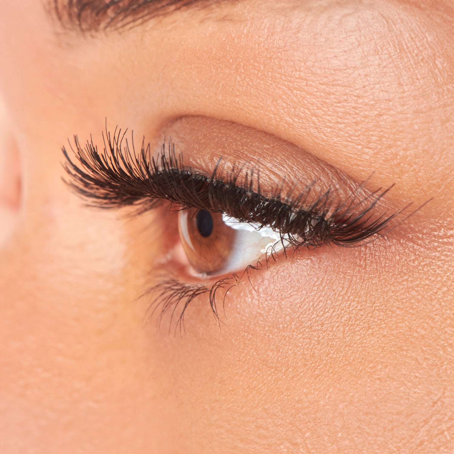 Close-up of a brown eye wearing long, black, wispy false eyelashes that enhance the natural lash line with a fluttery, voluminous look.