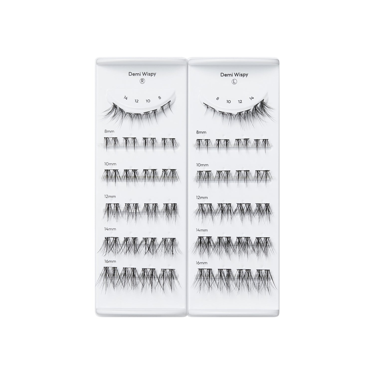 Demi Wispy false eyelash collection display showing multiple lengths from 8mm to 16mm