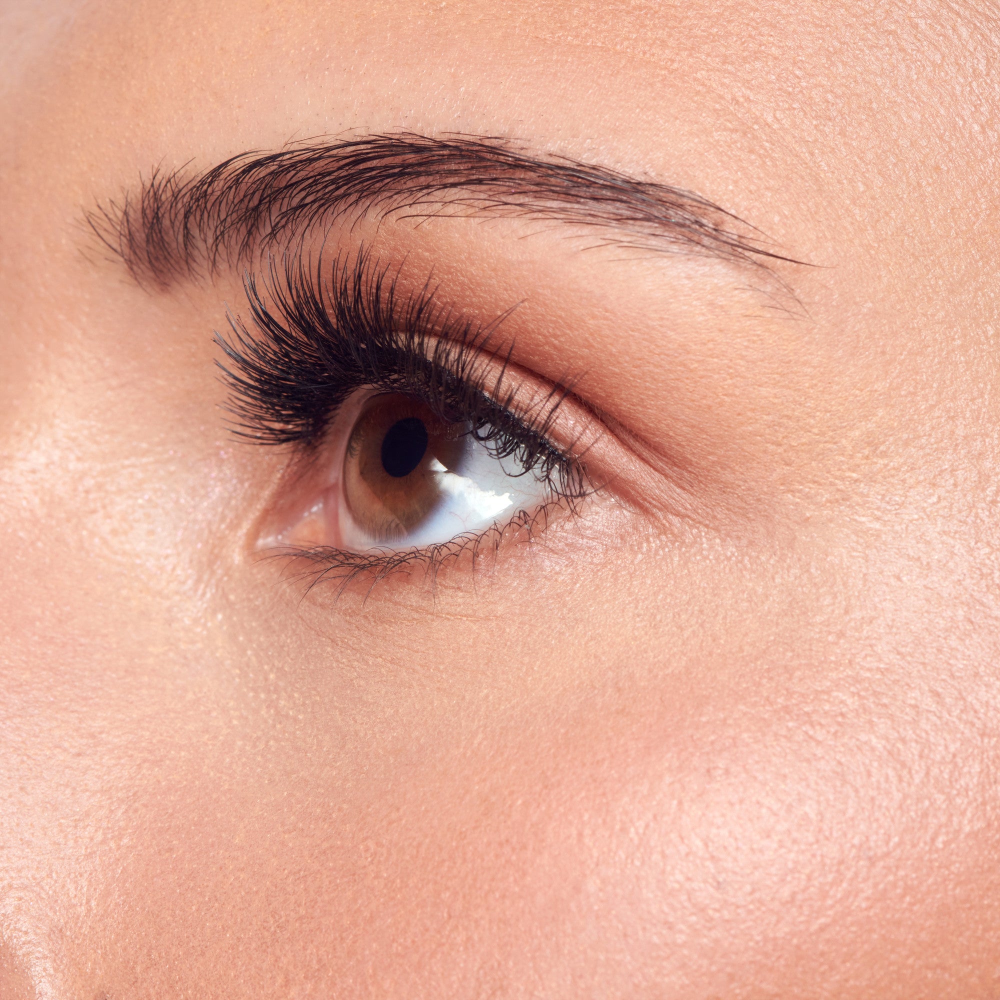 Close-up side view of a brown eye with natural-looking, thick false eyelashes applied, showing subtle makeup and well-groomed eyebrow.