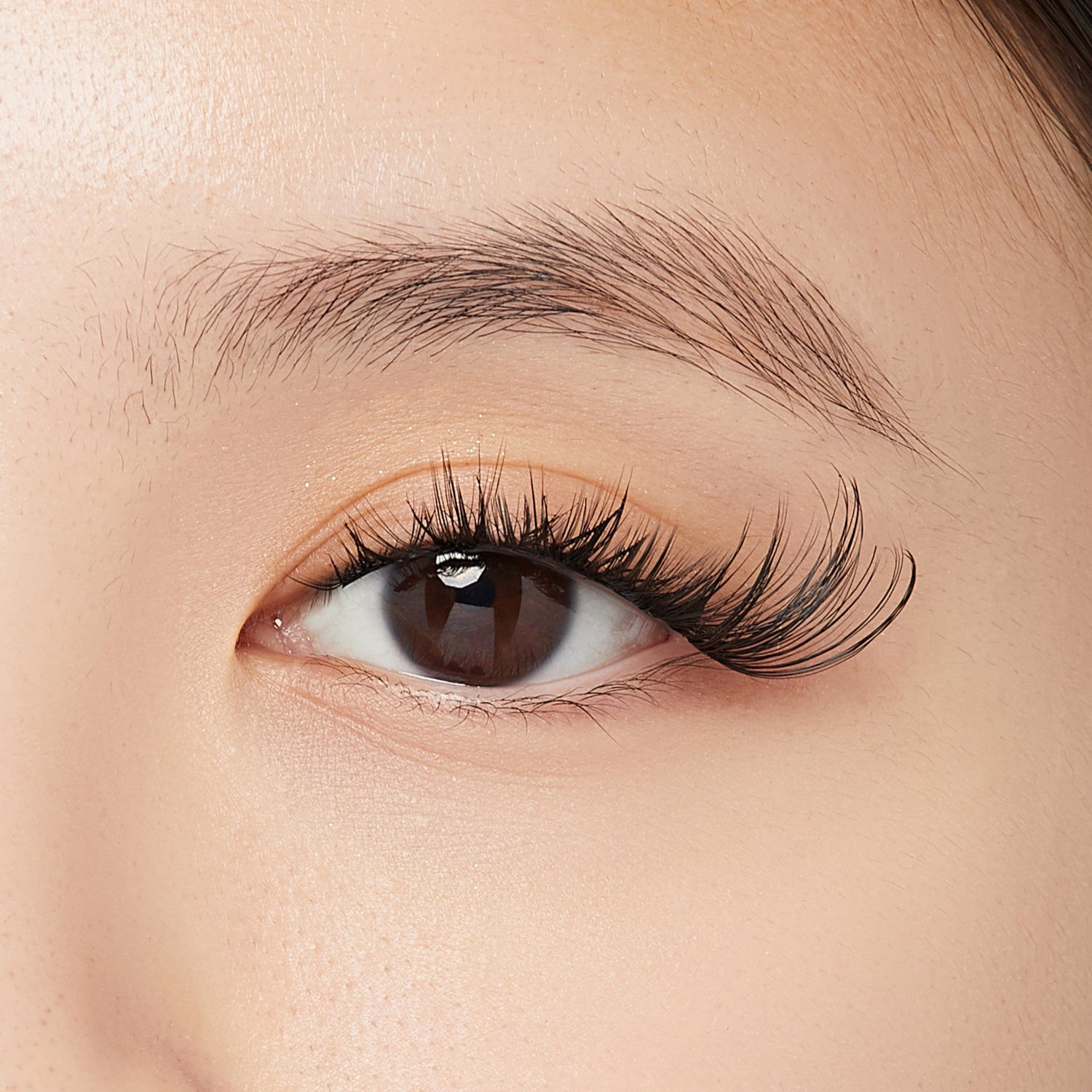 Close-up of a brown eye with long, voluminous black false eyelashes applied, featuring a wispy cat eye style enhancing the outer corner.