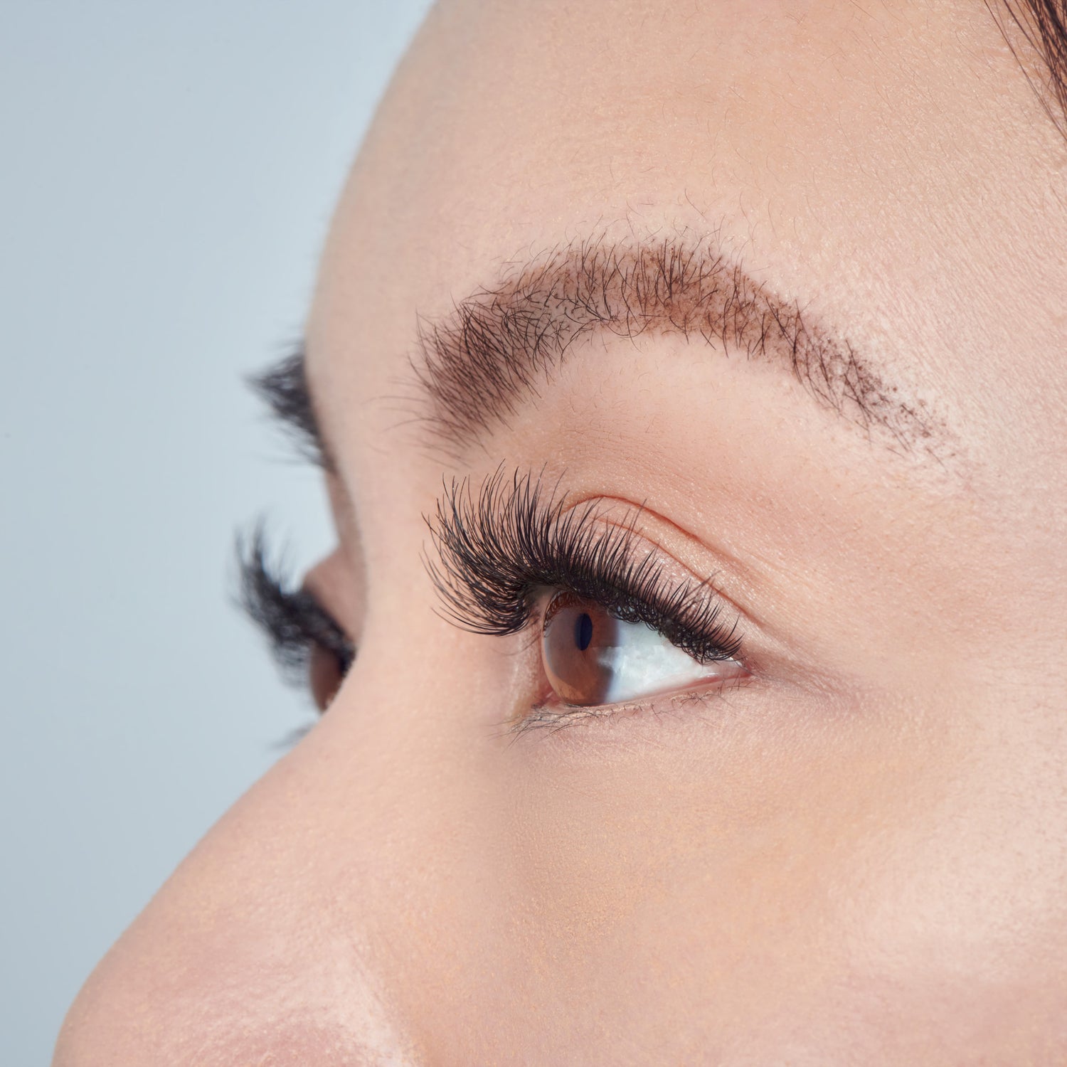 Close-up side view of a brown eye with fluffy, natural-looking false eyelashes applied, showing full length and curl against fair skin.