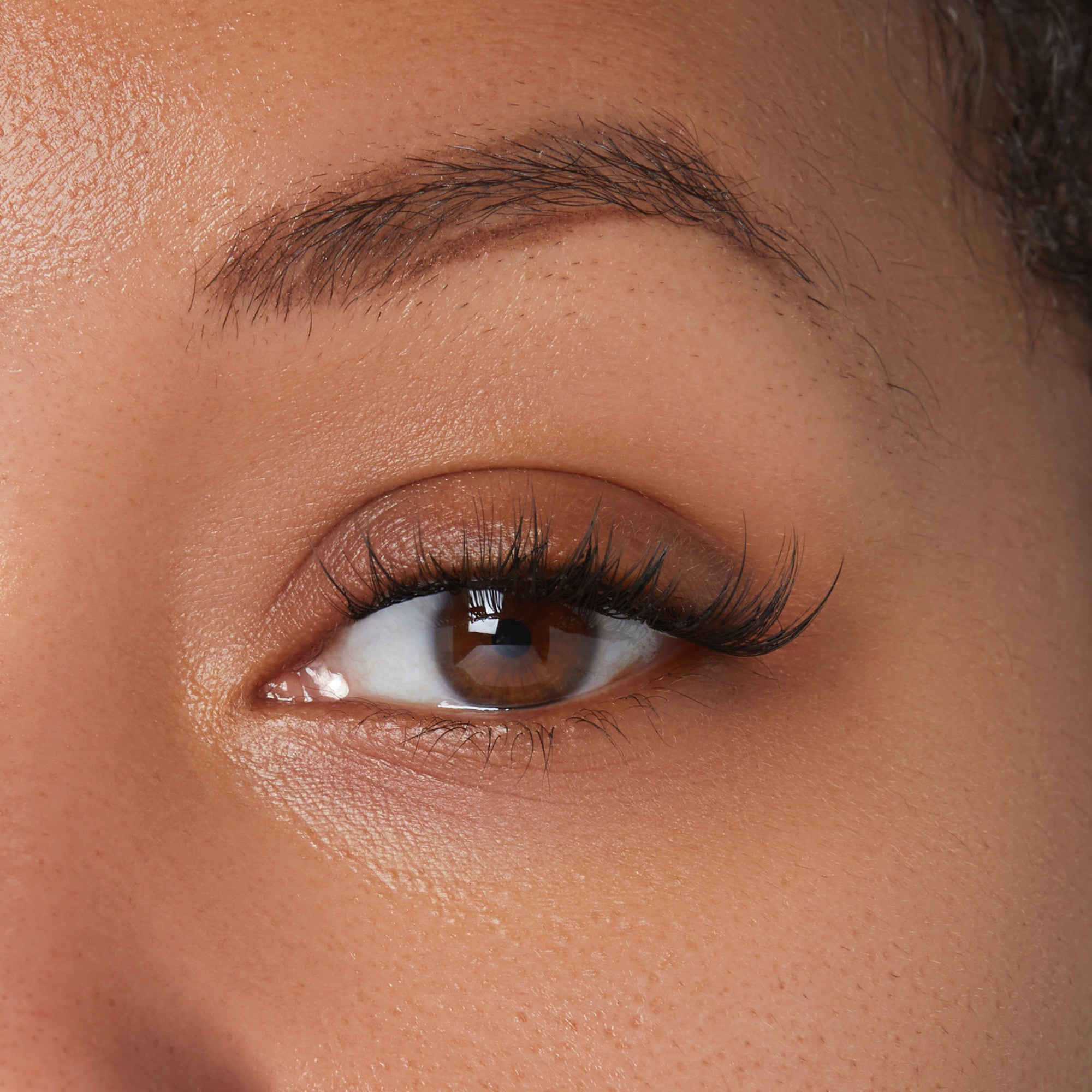 Close-up of a brown eye with long, natural-looking false eyelashes applied, showing the effect of the FALSCARA Special All Inclusive Starter Kit.