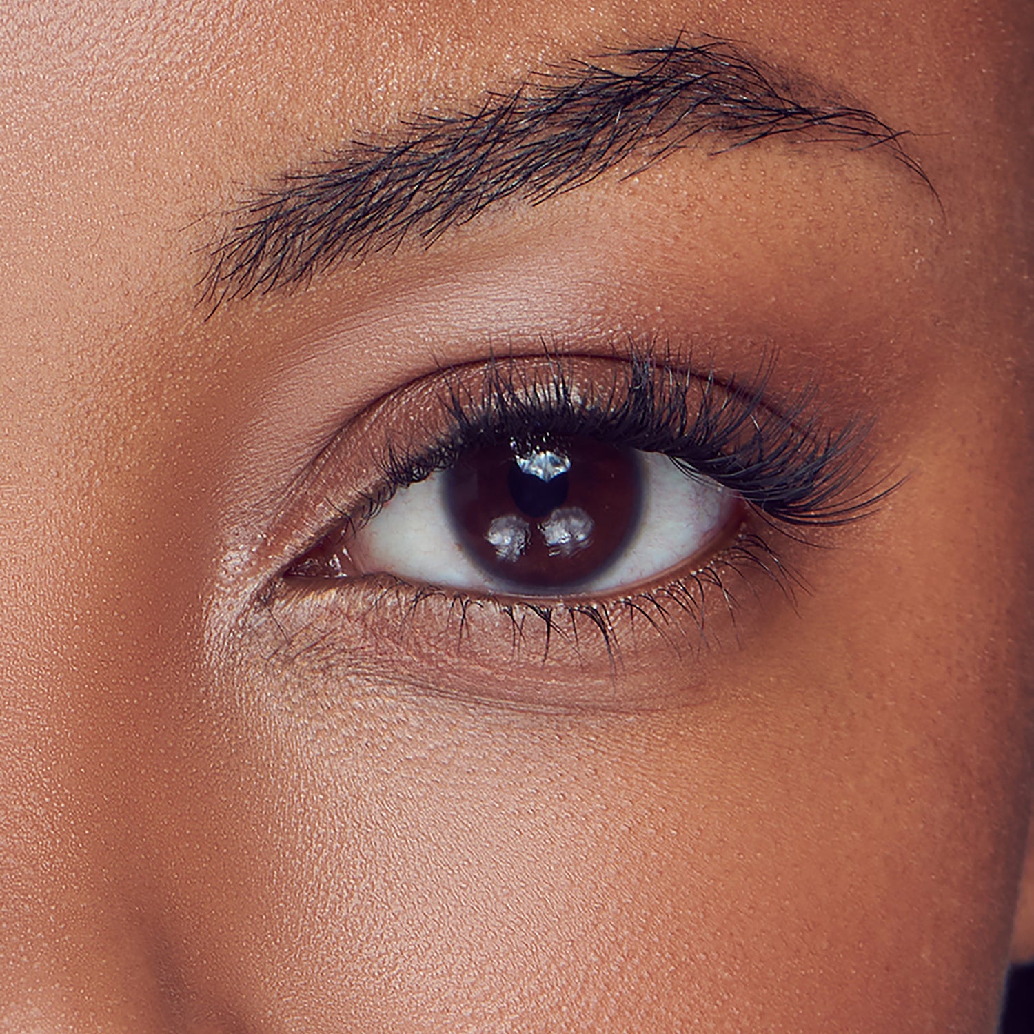 Close-up of a brown eye with natural-looking, lengthened eyelashes and well-groomed eyebrows on medium-dark skin tone.