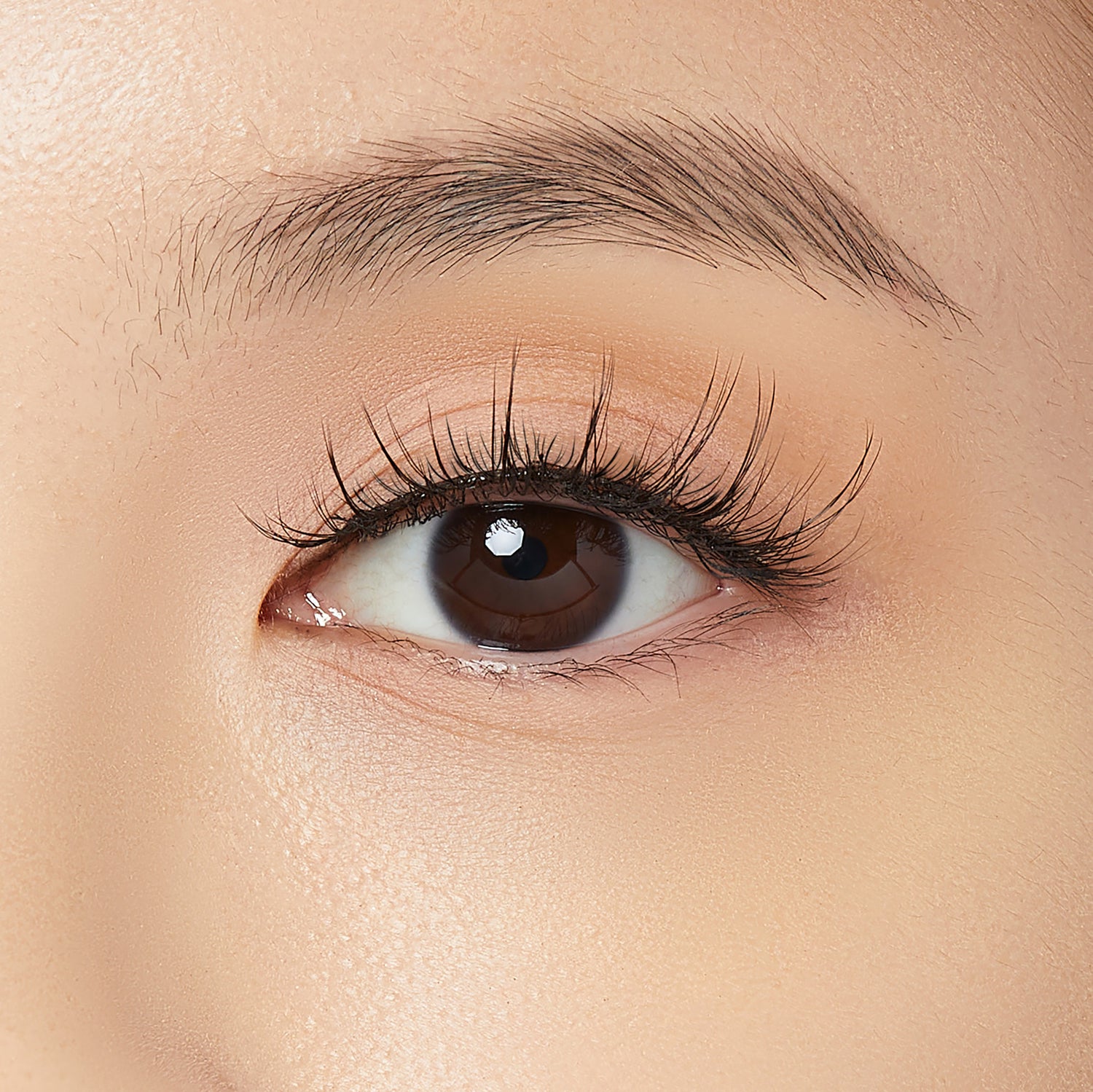 Close-up of a brown eye with long, natural-looking full strip false eyelashes applied, showcasing a subtle enhancement to the lashes.