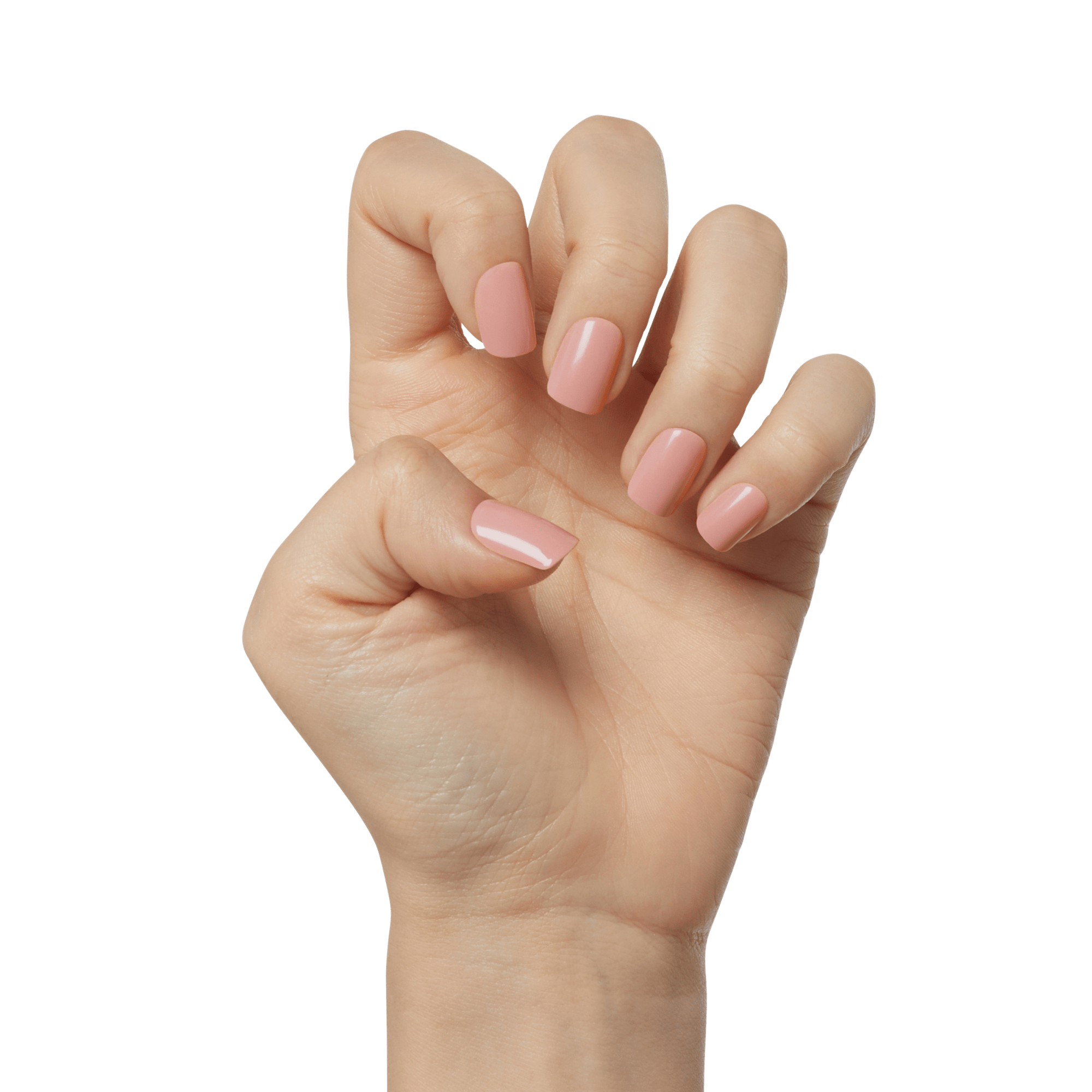 Hand displaying short pink manicure with glossy nail polish against white background.