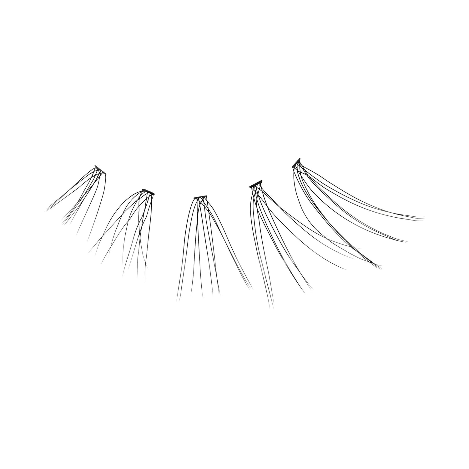 Five individual black false eyelash clusters arranged in a row from shortest to longest, displayed against a white background.