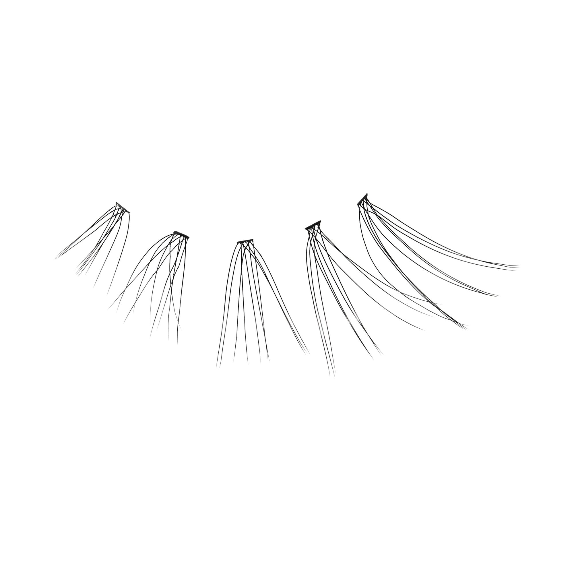 Five individual black false eyelash clusters arranged in a row from shortest to longest, displayed against a white background.
