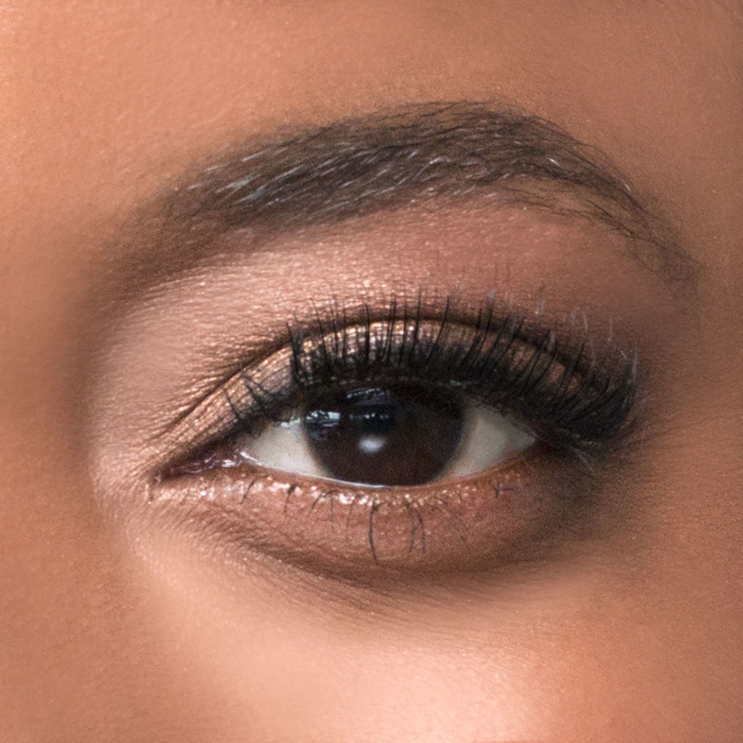 Close-up of a brown eye with long, full black magnetic strip lashes applied, showcasing a natural yet voluminous eyelash look.