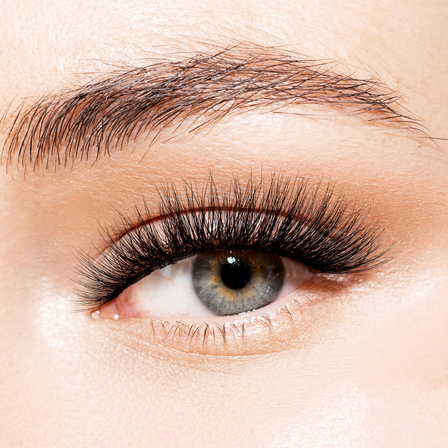 Close-up of an eye wearing thick, voluminous black false eyelashes with a natural brown eyebrow and smooth skin.