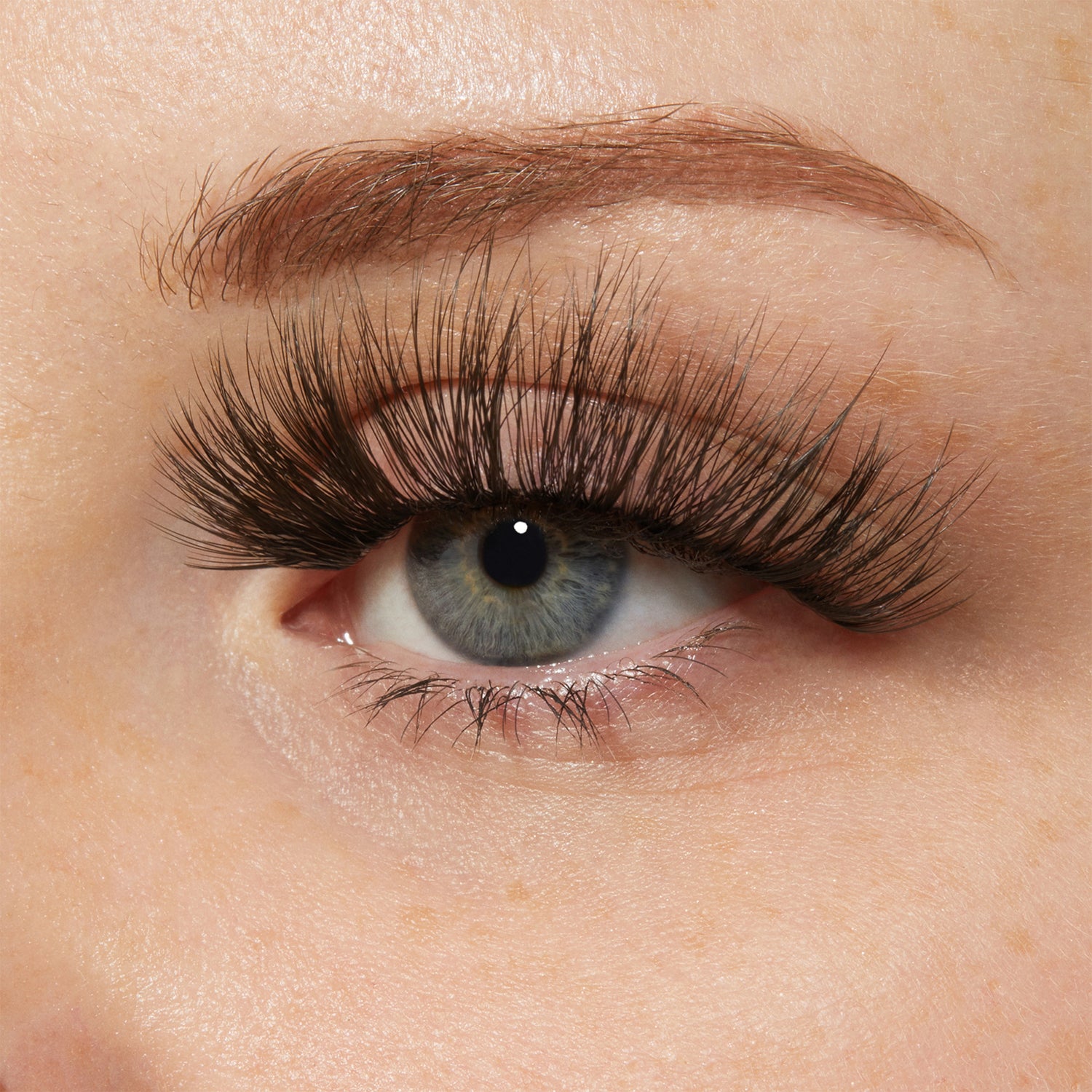 Close-up of a blue eye wearing long, thick, dark 3D volume false eyelashes with a natural skin tone and well-groomed eyebrow.