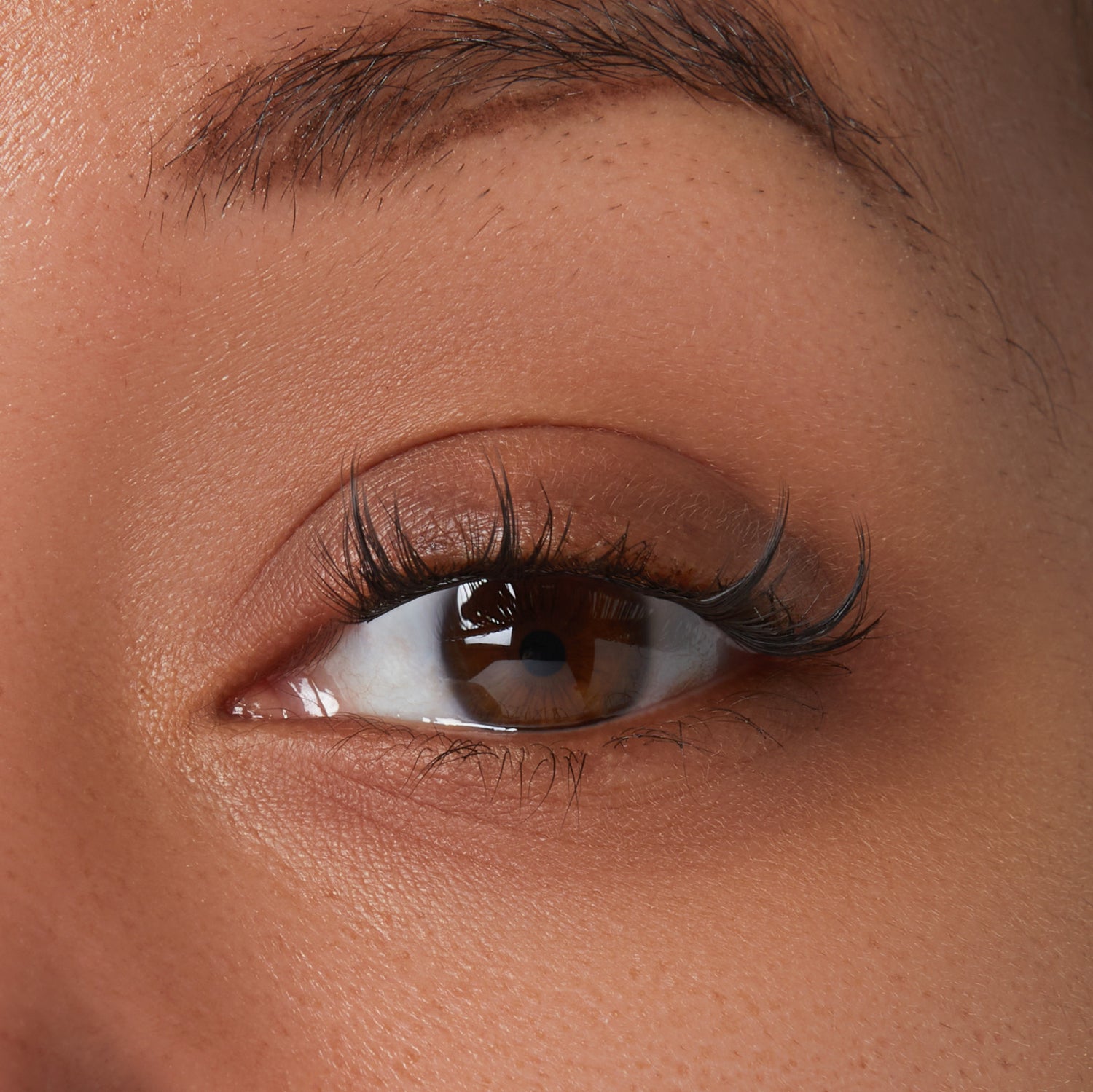 Close-up of a brown eye with long, voluminous, curled false eyelashes applied to the upper lash line, showcasing a natural look with extra lift and length.