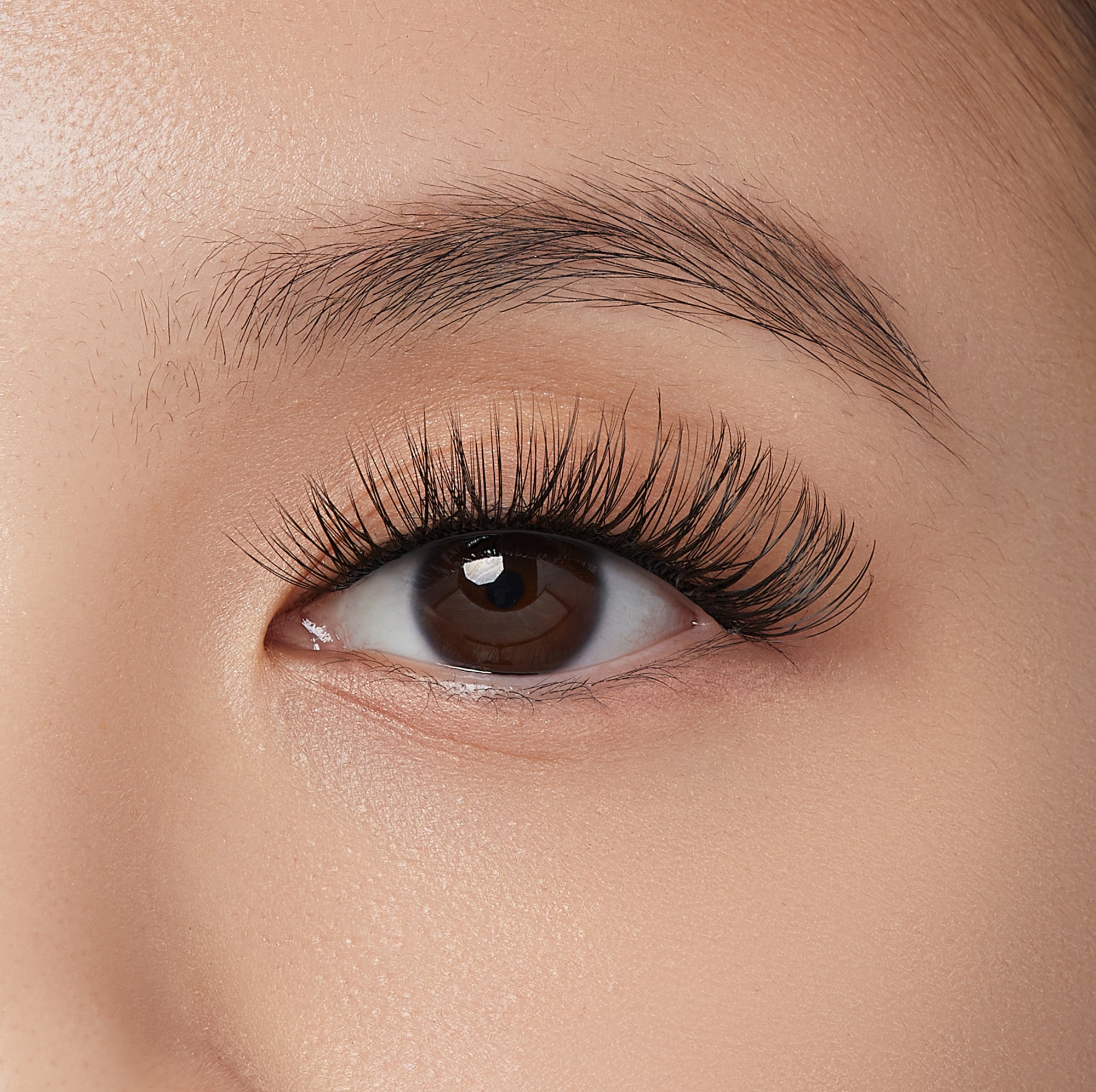 Close-up of a brown eye wearing sleek, long, and voluminous false eyelash clusters that enhance the natural lash line.