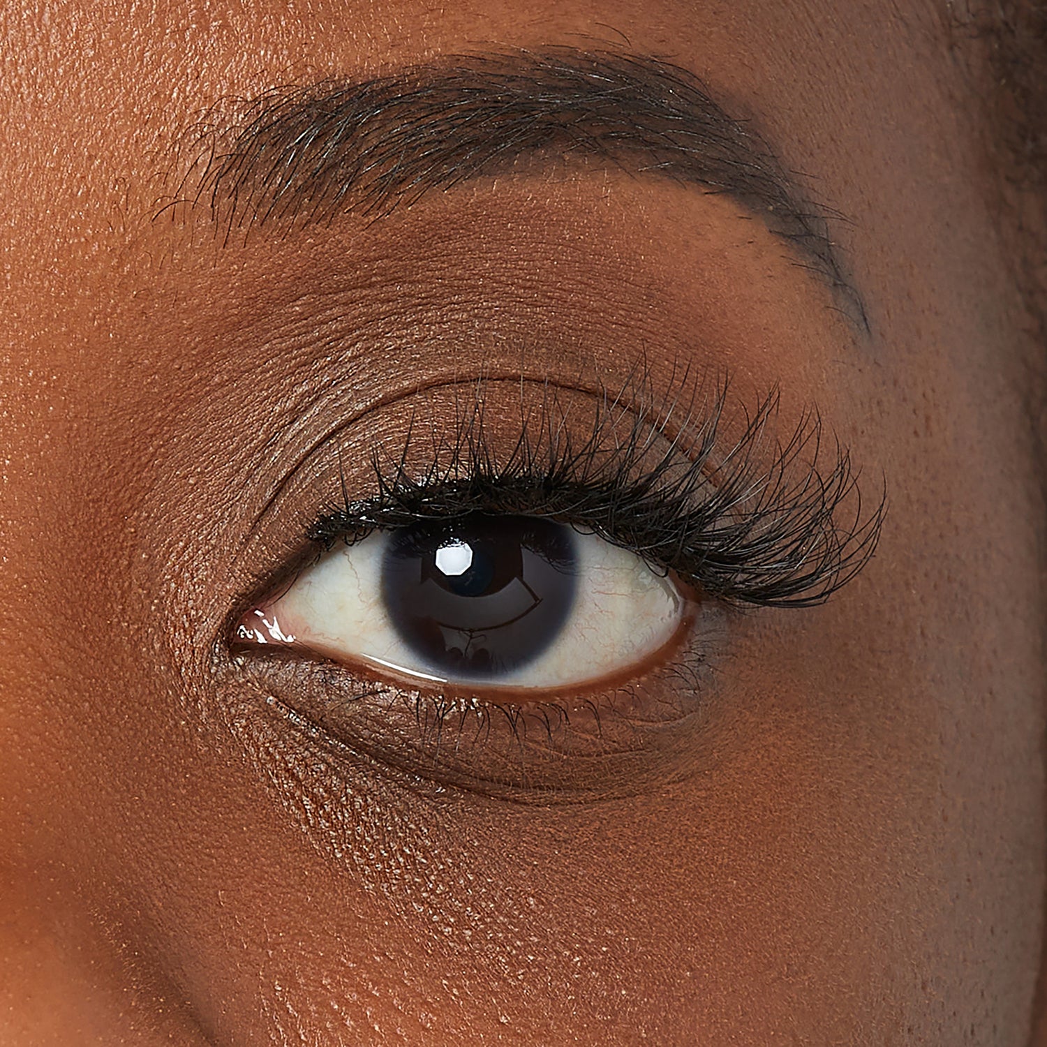 Close-up of an eye with natural-looking, long black false eyelashes applied, showcasing the volume and length of the KISS \