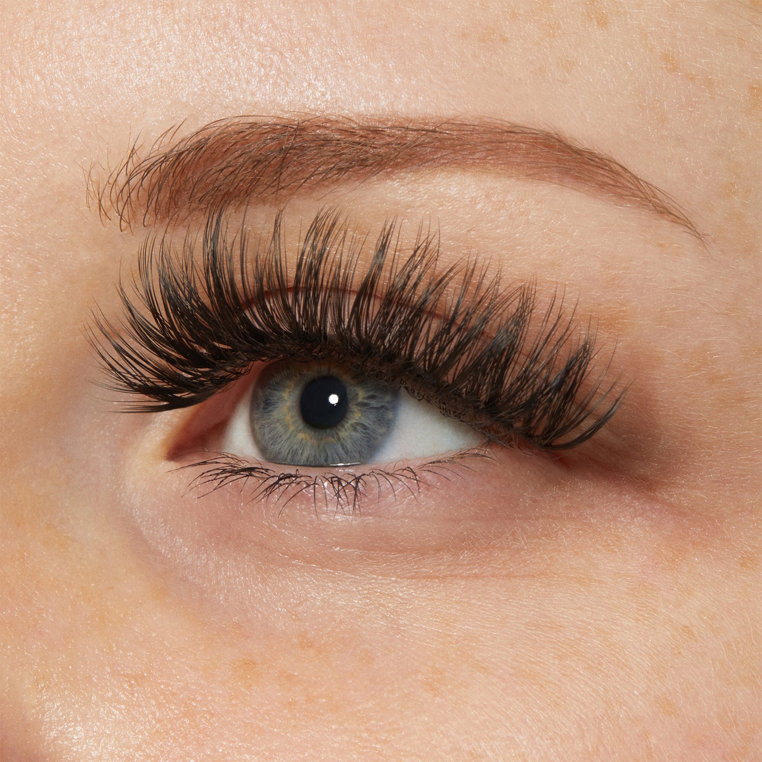 Close-up of a blue eye with thick, long, and voluminous black false eyelashes applied, showcasing dramatic 3D lash effect.