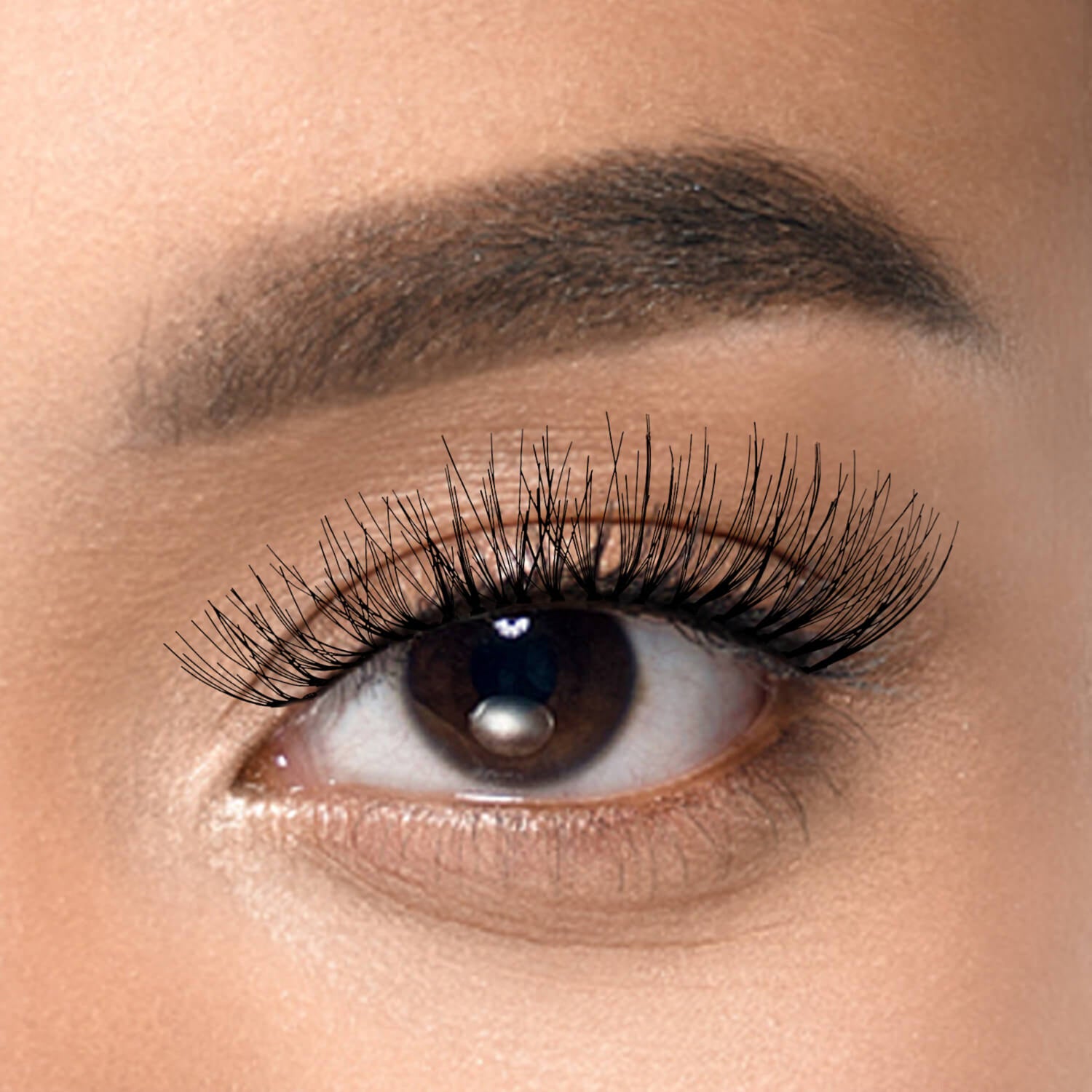 Close-up of a brown eye with medium-length, natural-looking false lashes applied, showcasing full, wispy black lashes and well-groomed eyebrows.