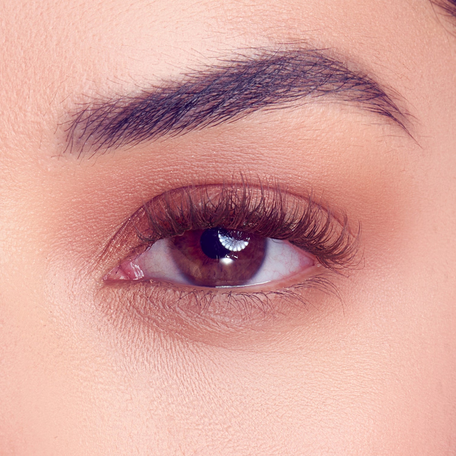 Close-up of a brown eye with dark chocolate-colored lash extensions, showing natural-looking length and volume on the upper lashes.