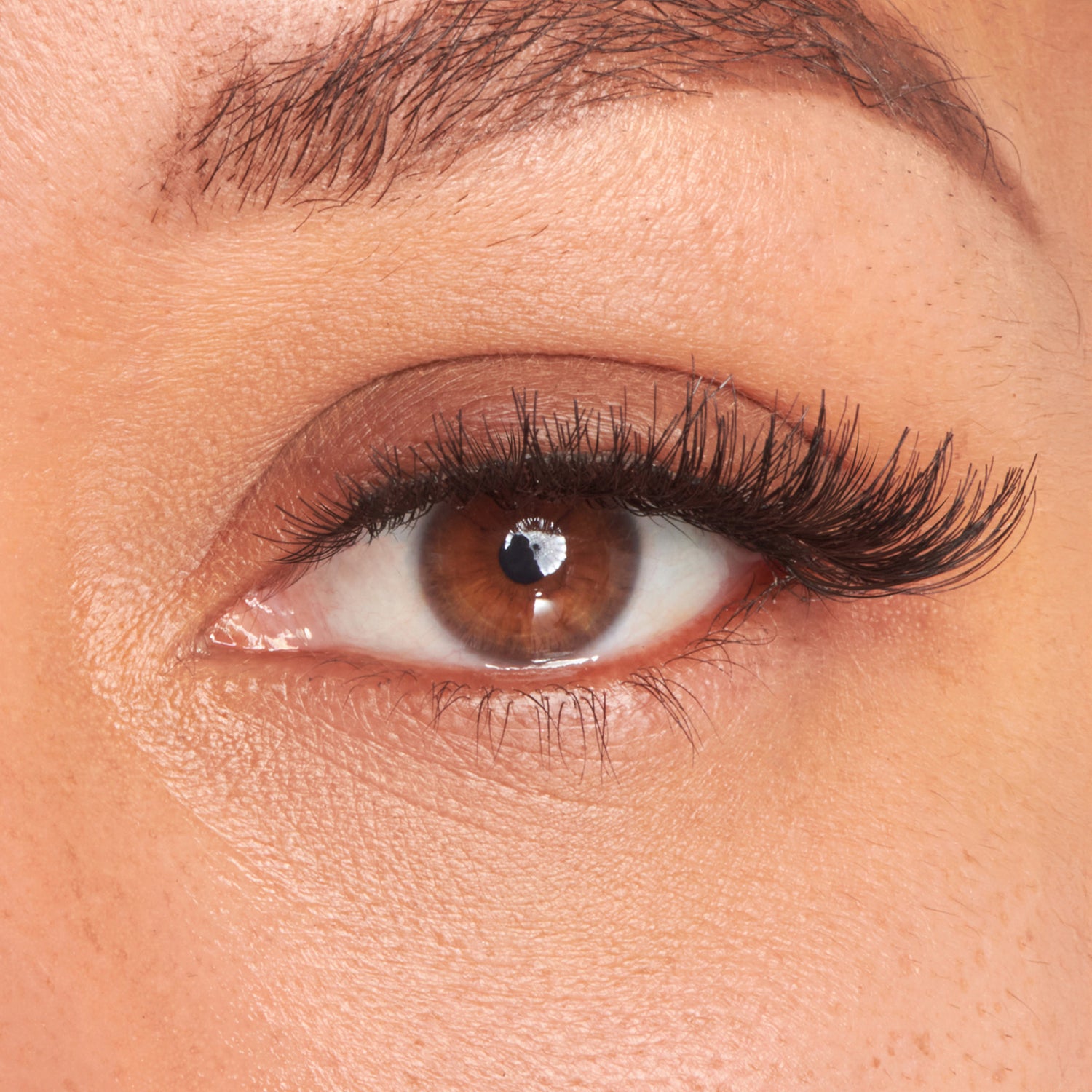 Close-up of a brown eye wearing long, wispy black false eyelashes with a natural curl, enhancing the lash line&