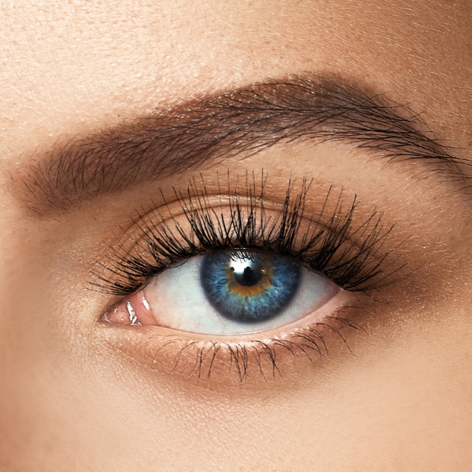 Close-up of a blue eye with long, thick black false eyelashes applied, showcasing the dramatic and mysterious look of the KISS Halloween Lashes &amp; Gem Sticker product.