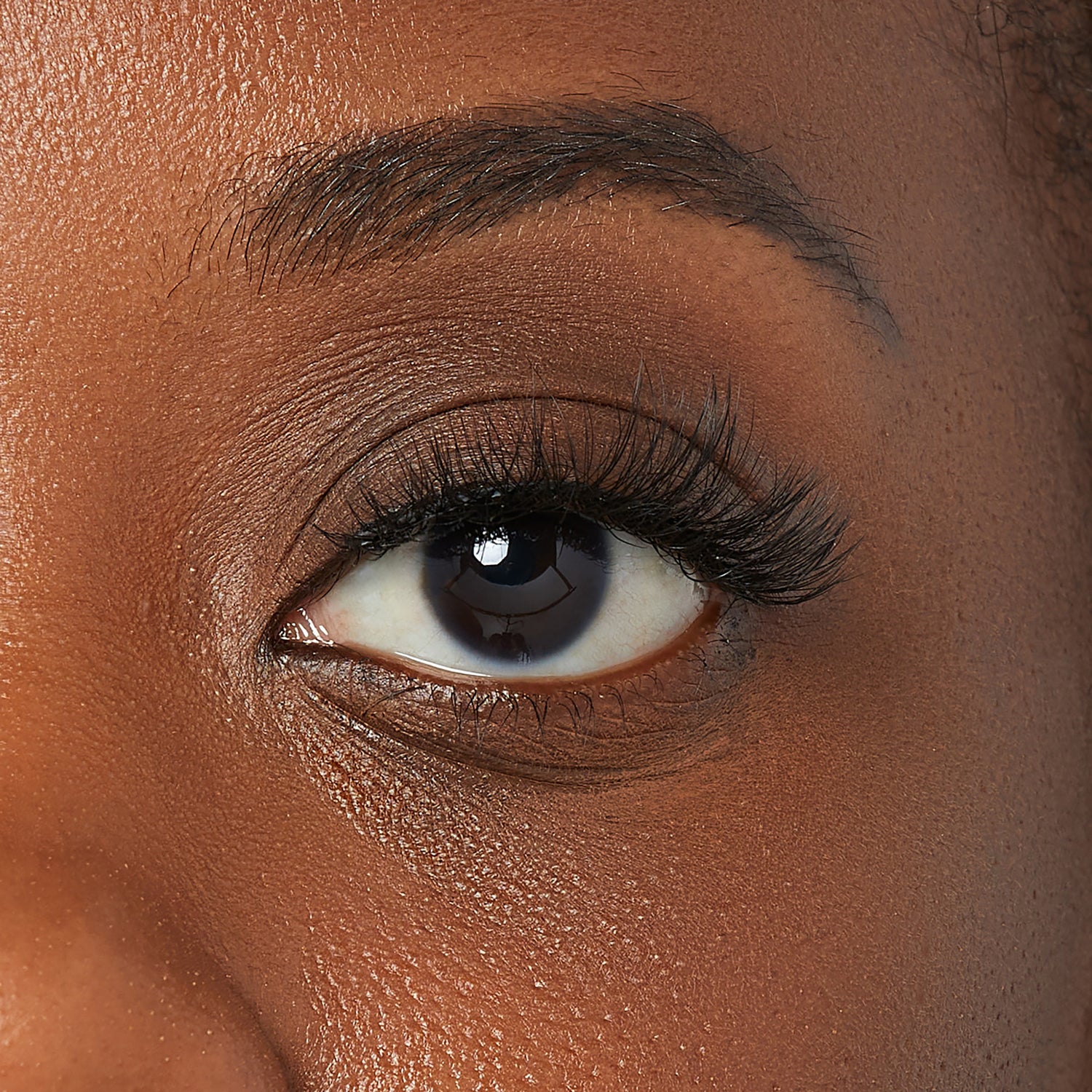 Close-up of a dark-skinned eye wearing long, wispy vegan mink false eyelashes that enhance lash volume and length naturally.