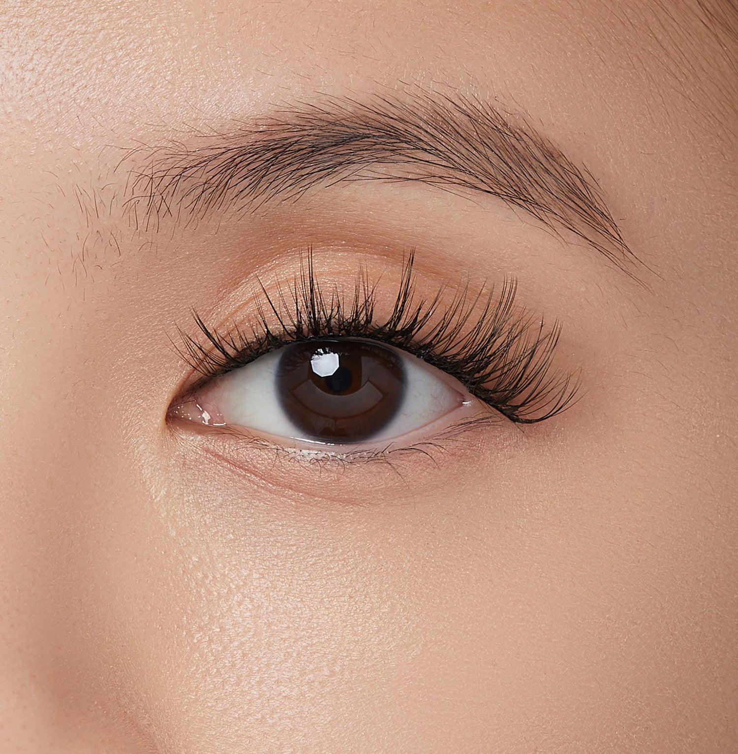 Close-up of a brown eye with long, natural-looking black self-adhesive false eyelash clusters applied to the upper lash line.